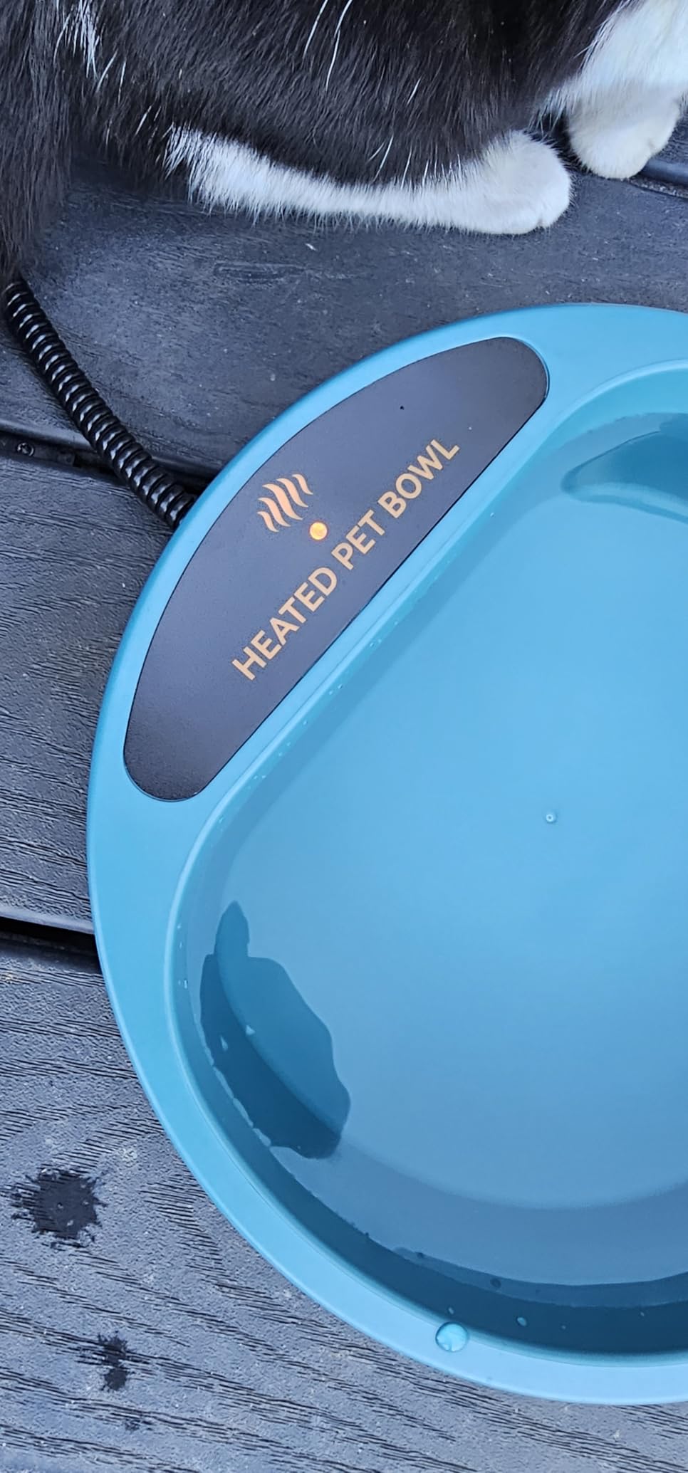 NAMSAN Heated Pet Bowl Outdoor Heated Dog Water Bowl Thermal-Bowl Livestock Heating Dish Provide Drinkable Water in Sub-Freezing Temperature for Cats, Chickens, Squirrels customer photo 2