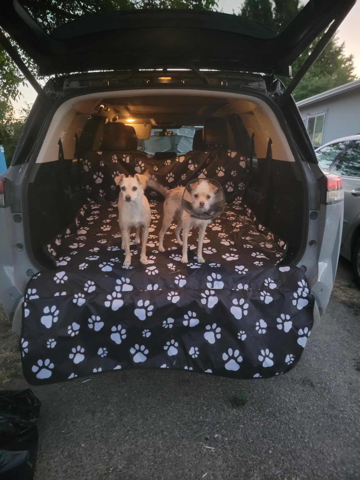 F-color SUV Cargo Liner for Dogs - Trunk Cover with Bumper Flap Protector customer photo 1
