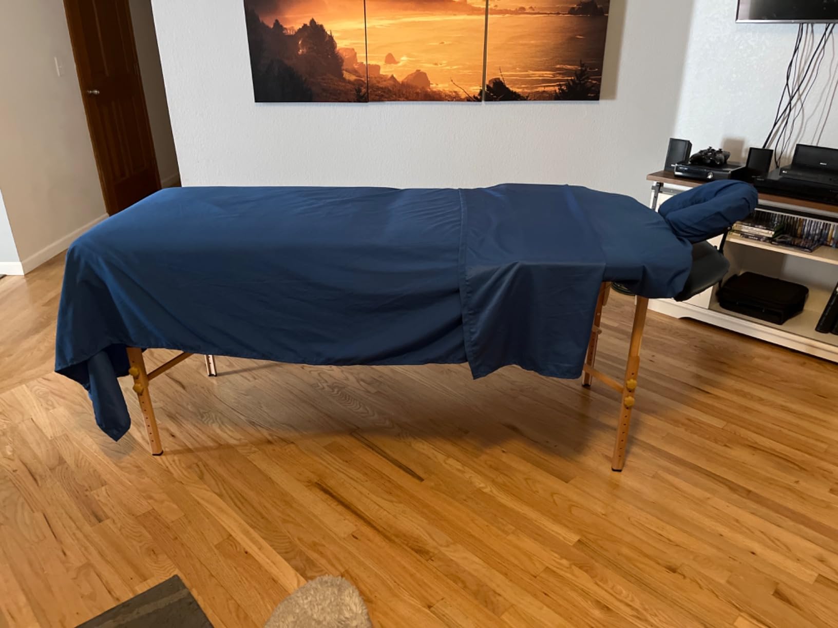 Saloniture Professional Portable Folding Massage Table with Carrying Case - Blue customer photo 1