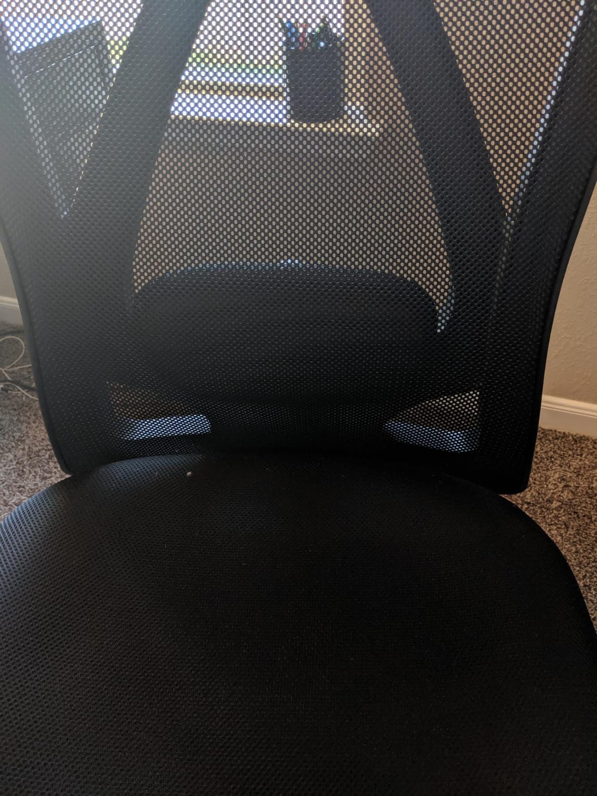 Duramont Ergonomic Office Chair | Adjustable Desk Chair with Lumbar Support and Rollerblade Wheels | High Back Chair with Breathable Mesh | Thick Seat Cushion customer photo 2