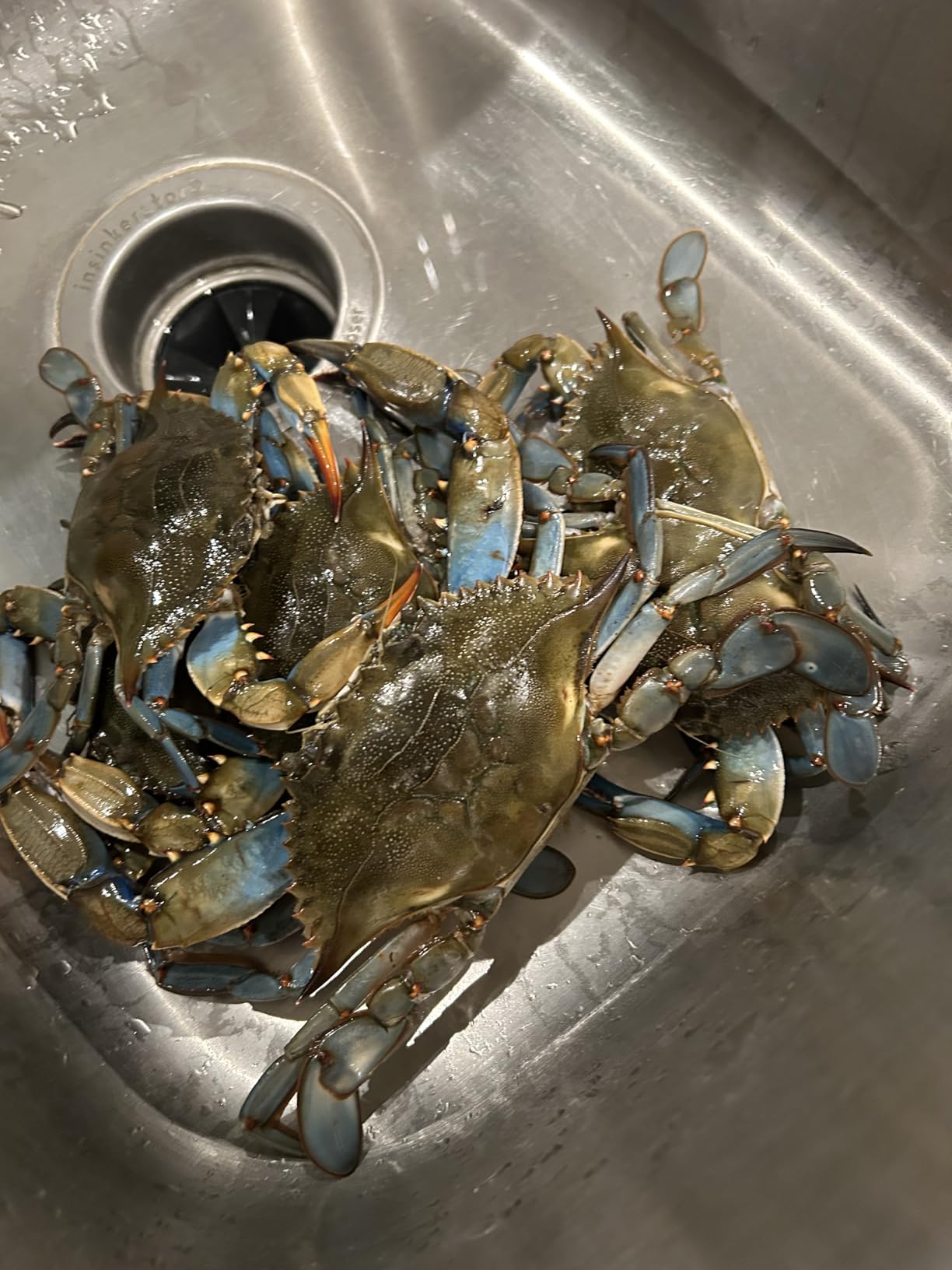 Palmyth Wire Grid Bottom Crab Nets Two Ring Crab Kit with Harness and Bait Clip 24” X 20” X 12” customer photo 1