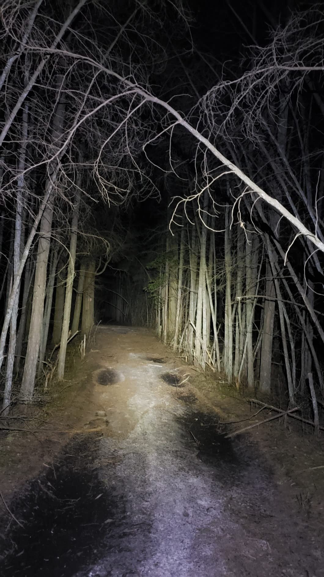 Nitecore NU30 500 Lumen LED Rechargeable Headlamp with White and Red Beams customer photo 2