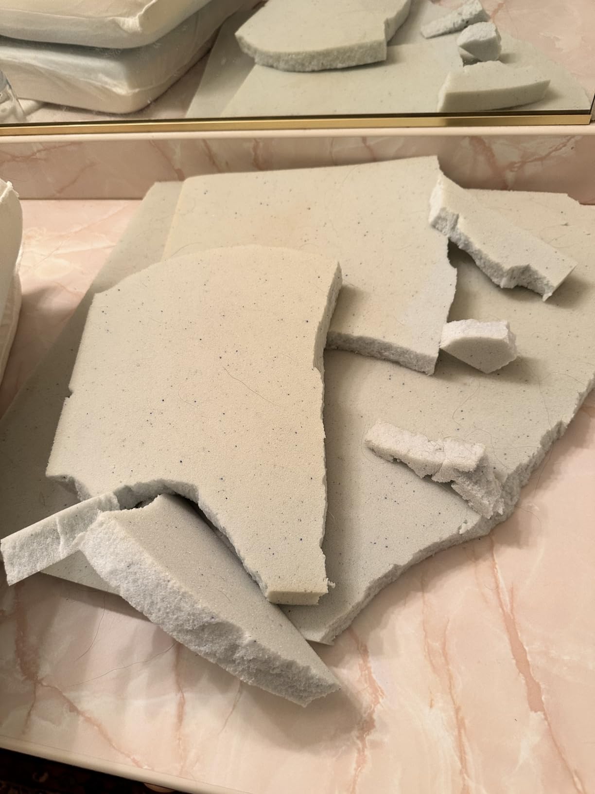 BarkBox Orthopedic Dog Bed - Large customer photo 2