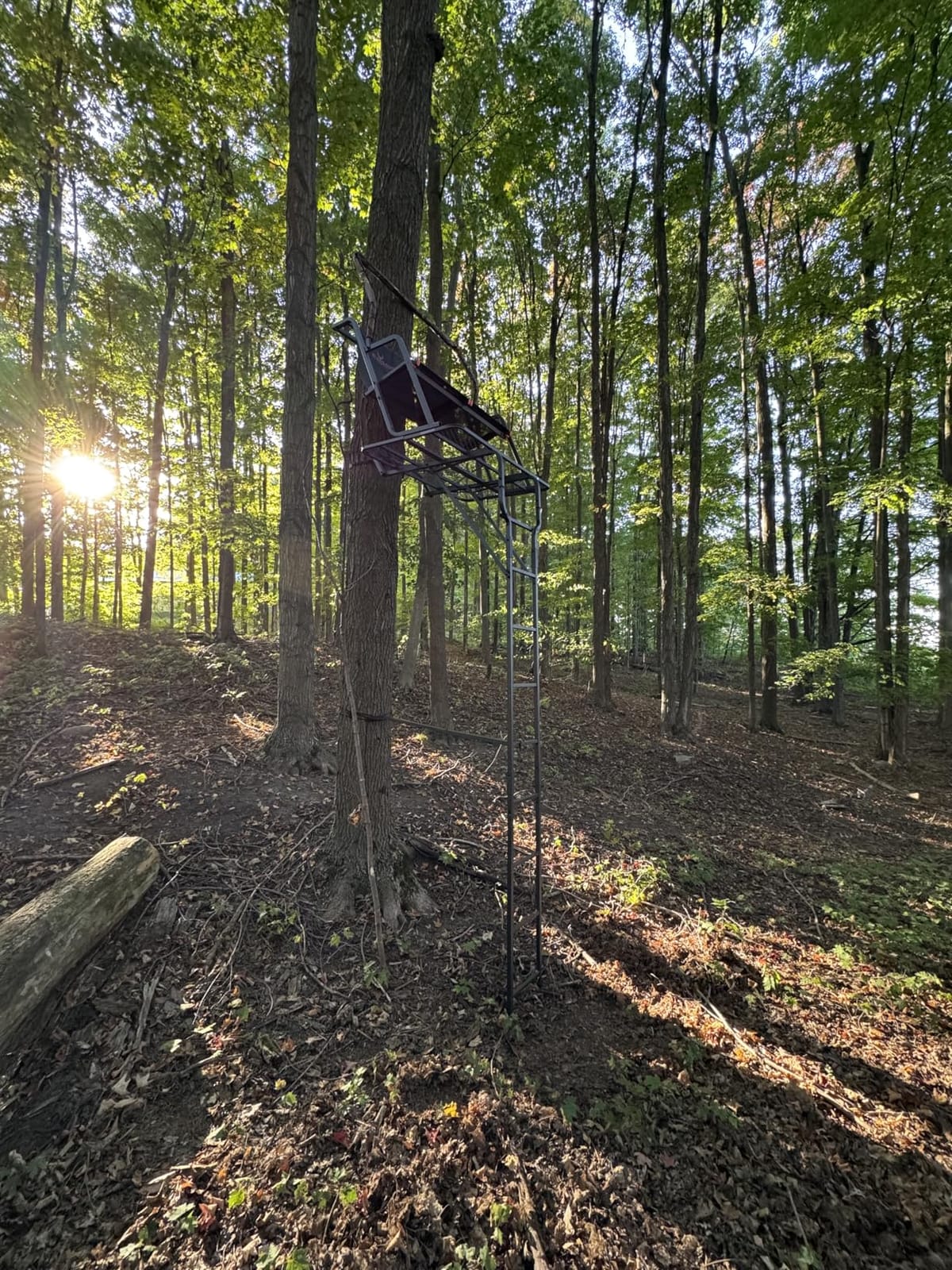 BIG GAME 2 Person Ladder Stand customer photo 2