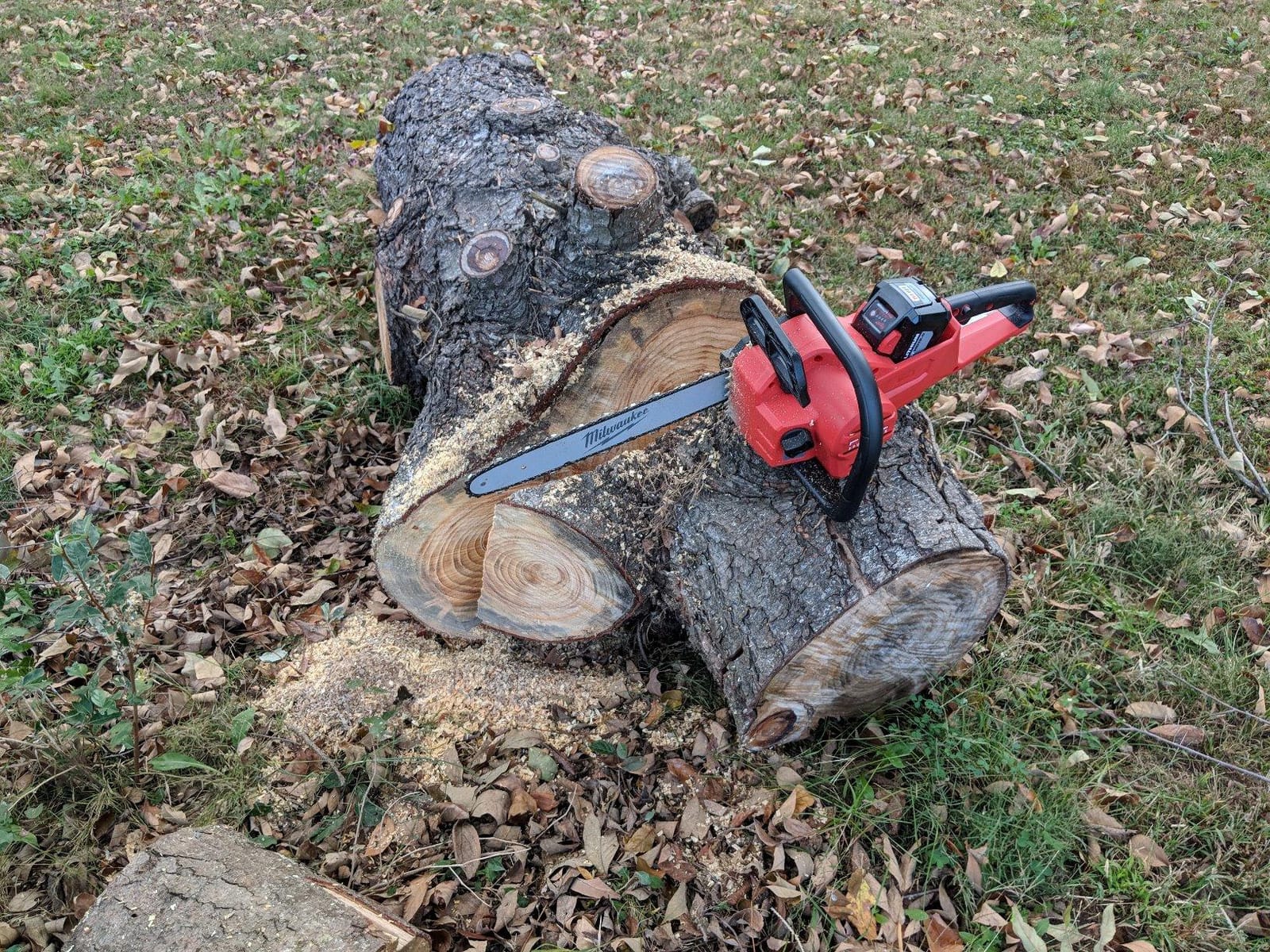 Milwaukee Electric Tools 2727-21HD Chainsaw Kit customer photo 2
