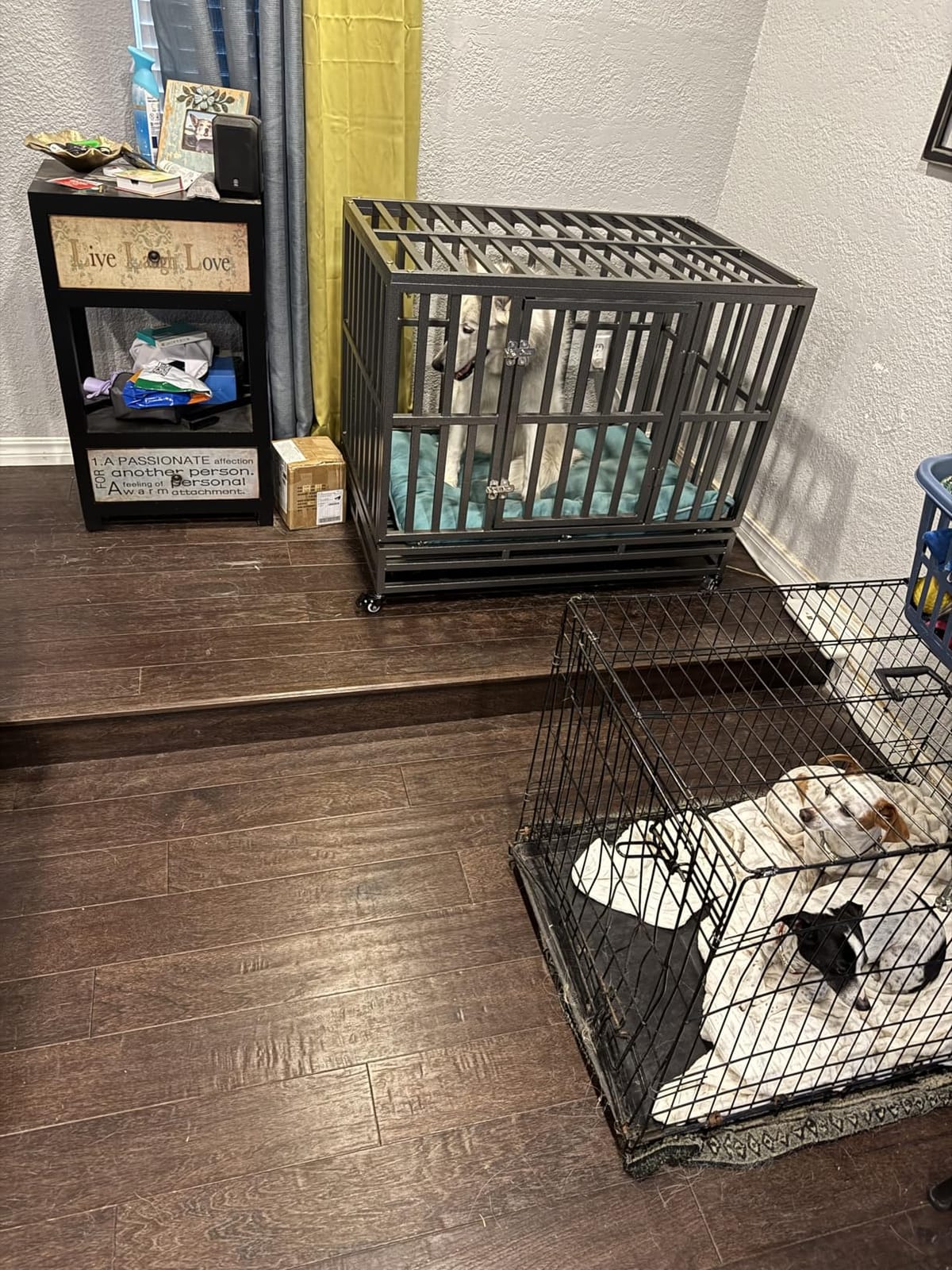 LUCKUP 38 Inch Heavy Duty Dog Cage Metal Kennel and Crate for Large Dogs,Easy to Assemble Pet Playpen with Four Wheels,Black … … customer photo 1