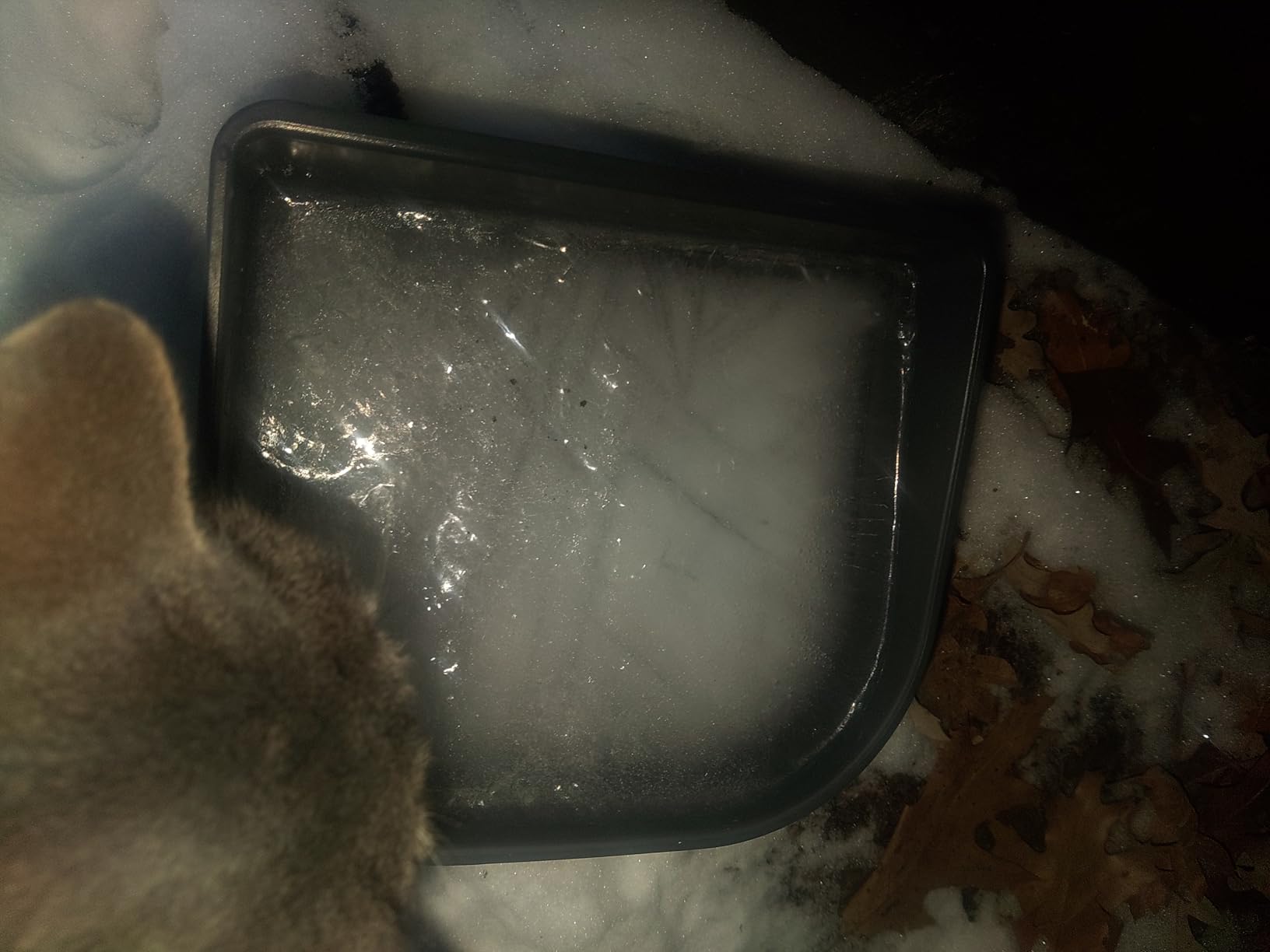 Heated Water Bowl for Dogs, Heated Dog Bowl for Cats Birds Chickens Water Heater, Outdoor Pet Heating Dish Provides Drinkable Water in Frozon Winter, 2.2L customer photo 1