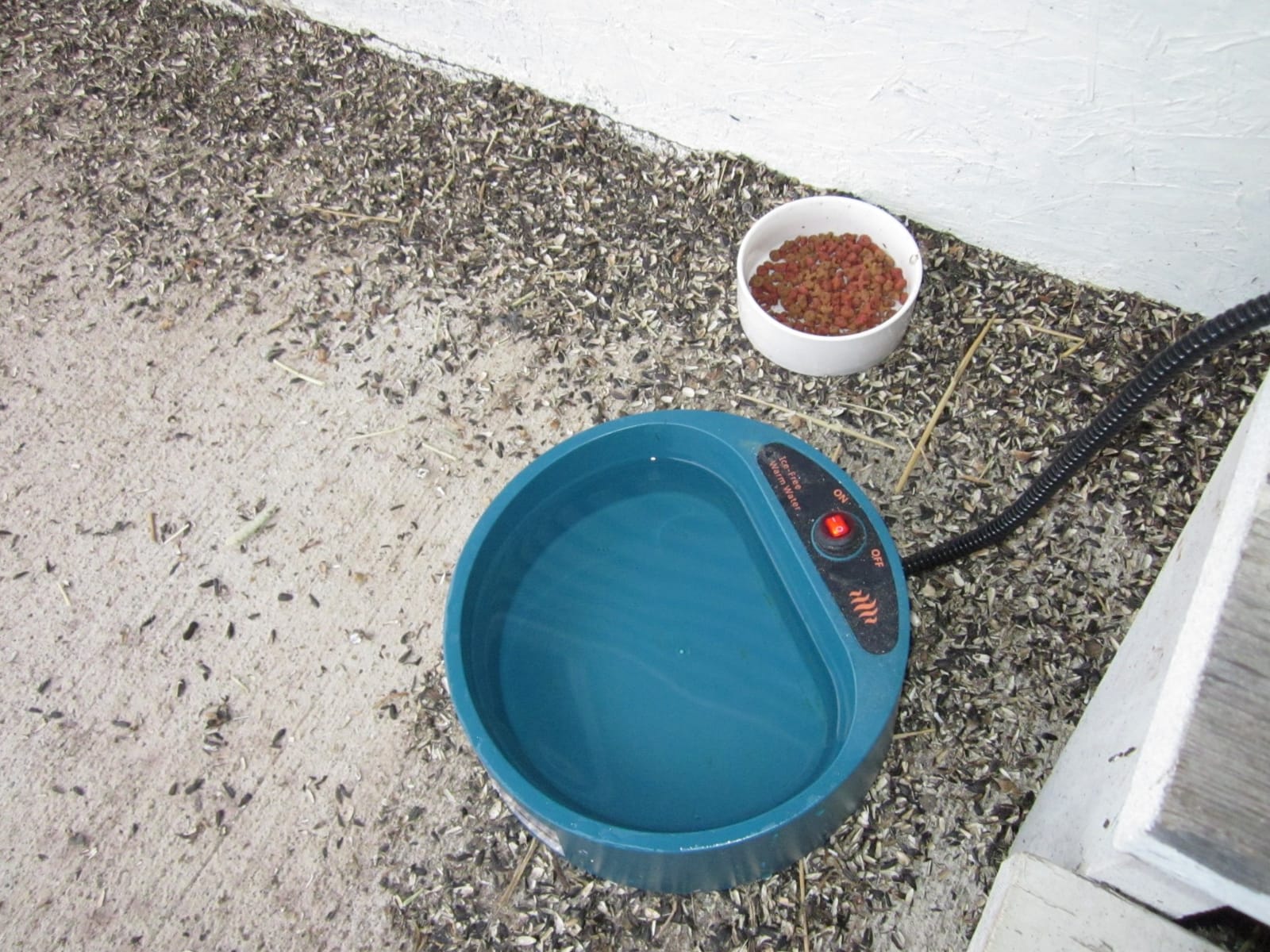 Heated Water Bowl for Dogs, Heated Dog Bowl for Cats Birds Chickens Water Heater, Outdoor Pet Heating Dish Provides Drinkable Water in Frozon Winter, 2.2L customer photo 2