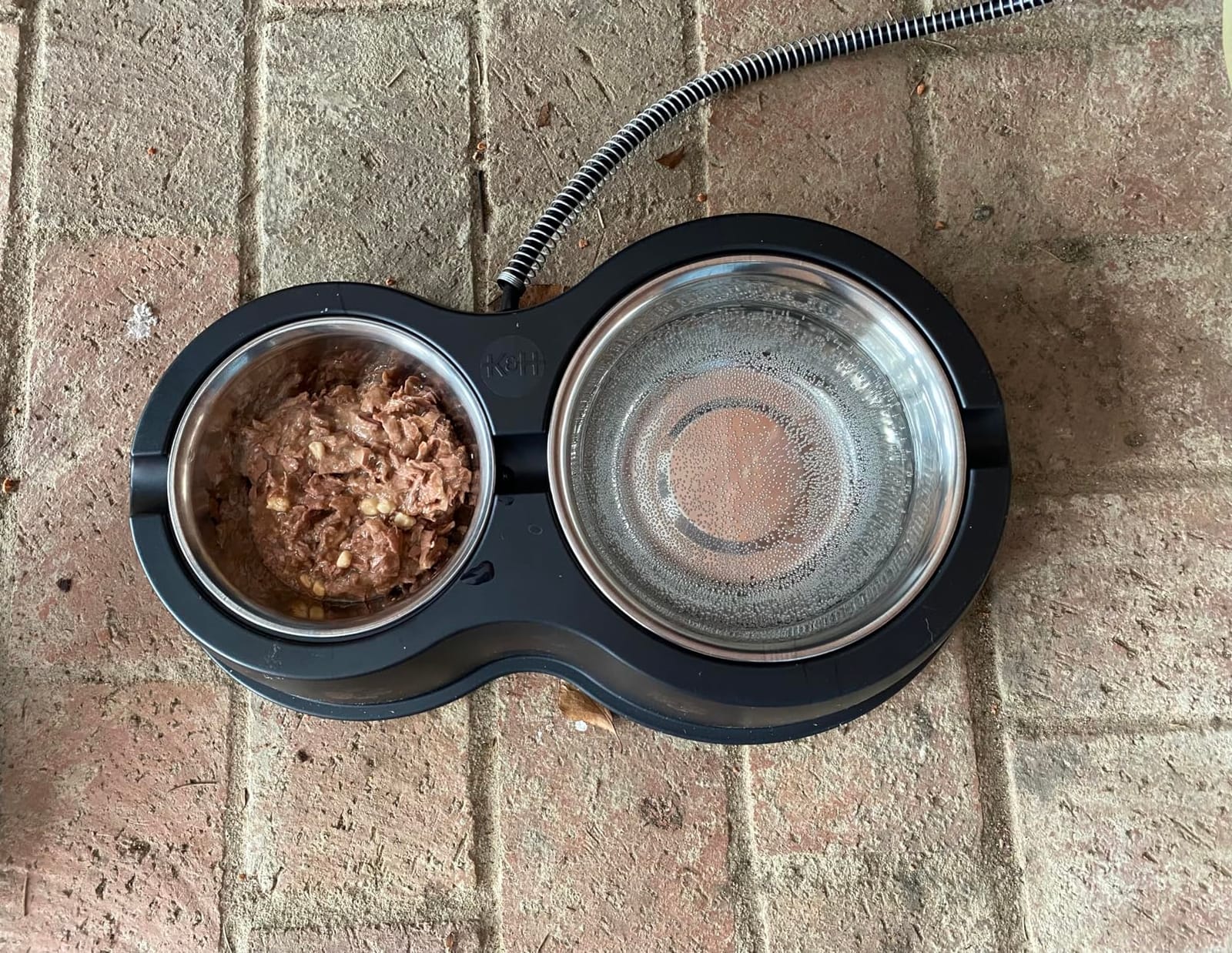 K&H Heated Water Bowl, Thermo-Kitty Café Feral Cat Feeding, Safety Listed customer photo 1