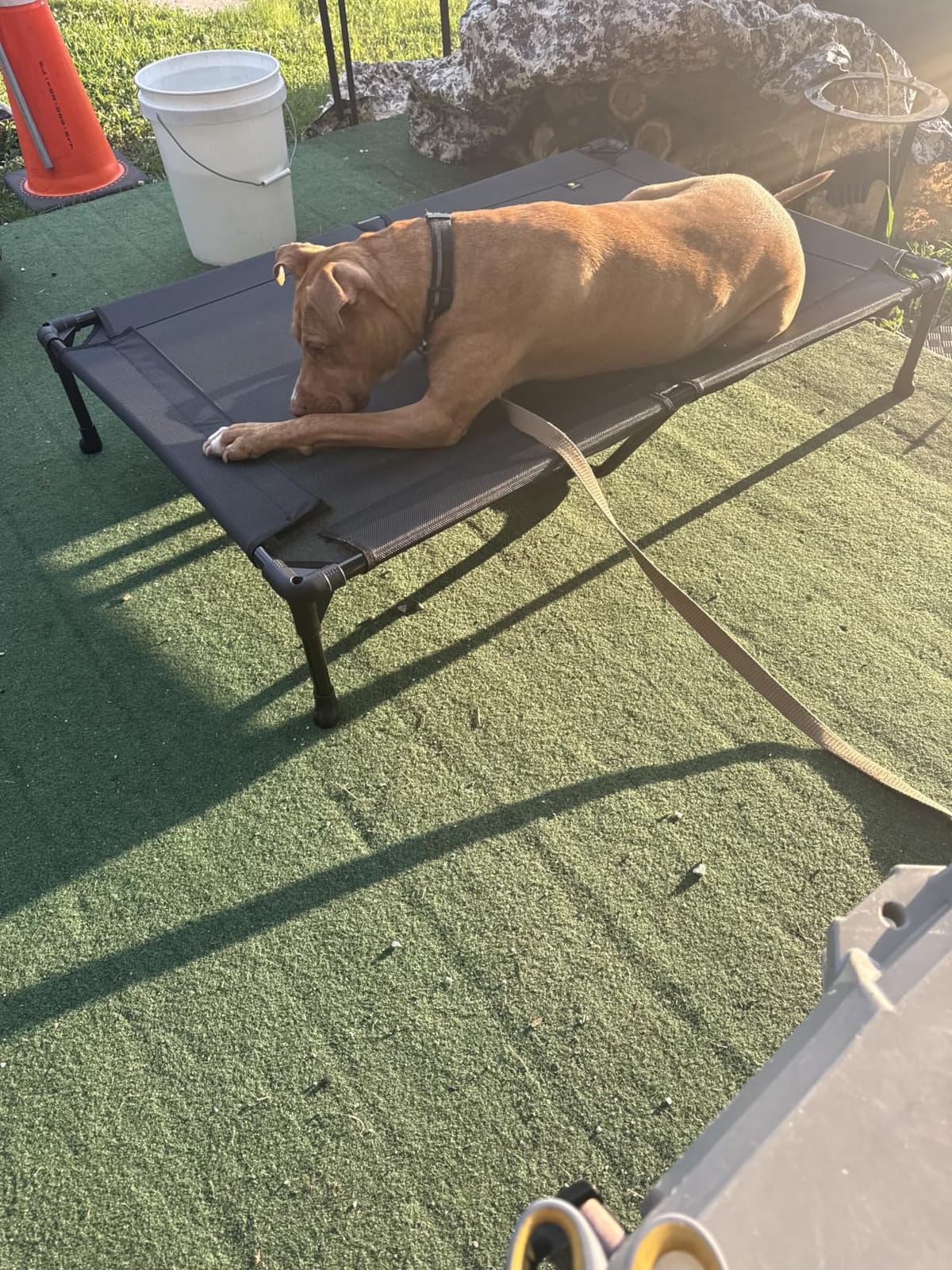 Veehoo Outdoor Elevated Dog Bed Large Sized Dogs, Cooling Raised Dog Cots customer photo 2