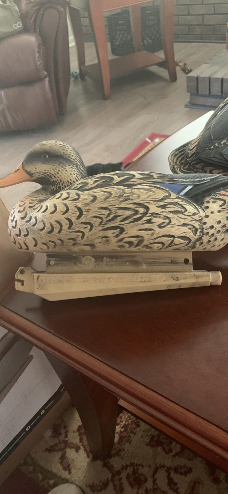 Avery GHG Essential Mallard Duck Decpus - 12 Pack customer photo 1