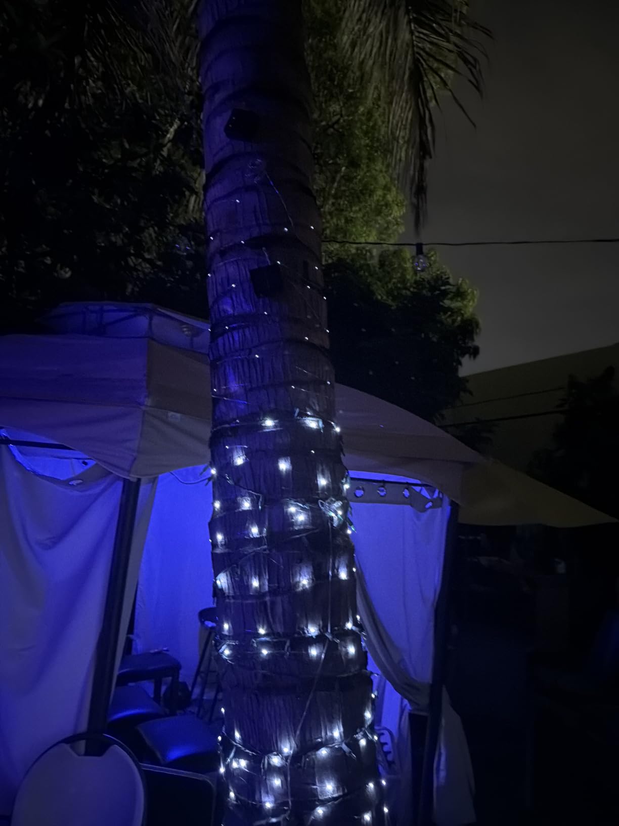 JMEXSUSS 2 Pack Solar String Lights Outdoor Total 66FT 200LED Fairy Lights customer photo 2