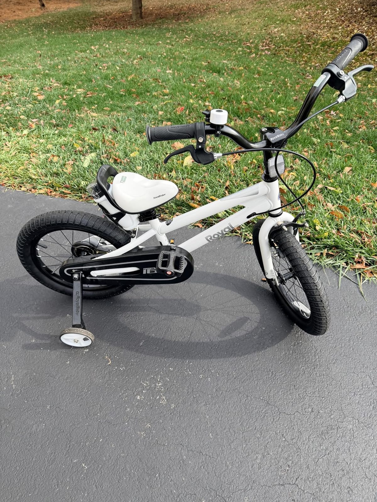 RoyalBaby Freestyle Kids Bike Dual Handbrakes Ages 3-10 Years customer photo 2
