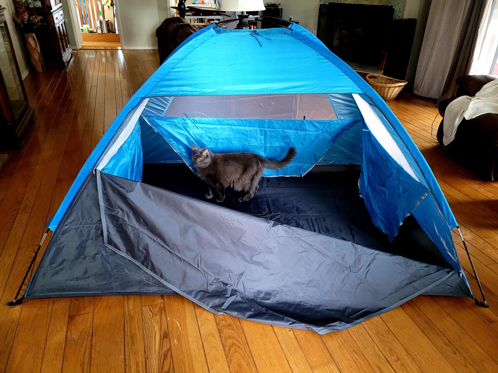 Venustas Beach Tent Sun Shelter for 3/4/6/8 Person, UPF 50+ UV Protection Beach Canopy, Lightweight and Easy Setup Cabana, Portable Shade Tent customer photo 2