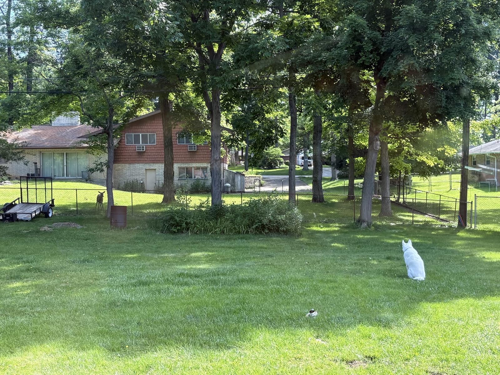 SportDOG Rechargeable In-Ground Fence System, Up to 1 1/3 Acres customer photo 1