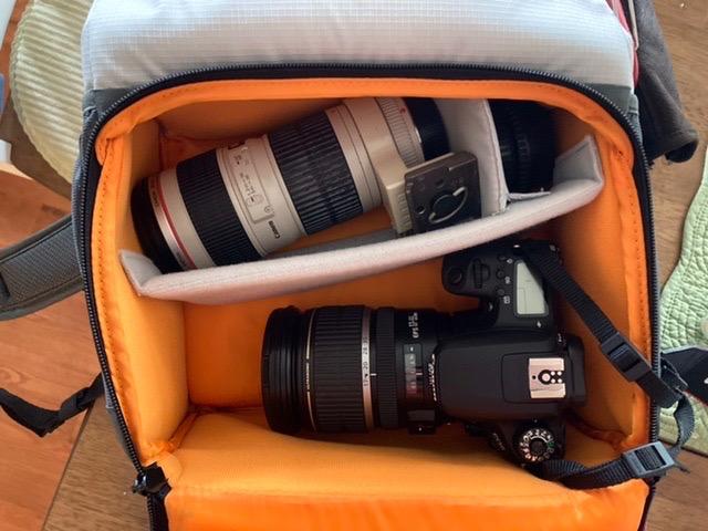 Lowepro LP37238-PWW Truckee BP 250 LX Outdoor Camera Backpack, Fits 15 inch Tablet, for Compact DSLR/Mirrorless, for Sony, Canon, Nikon, 1-2 Lenses, Gimbal, Video Drone, DJI, Osmo, Mavic, Light Grey customer photo 1
