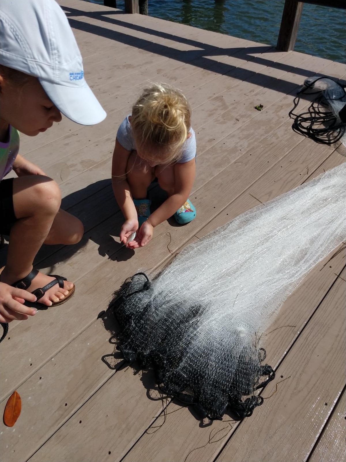 BASSDASH American Saltwater Fishing Cast Net 3/8 1/4-Inch Mesh 4ft 6ft 8ft Radius, 1-Pound Per Foot, for Bait Fish with Utility Bucket Casting customer photo 2