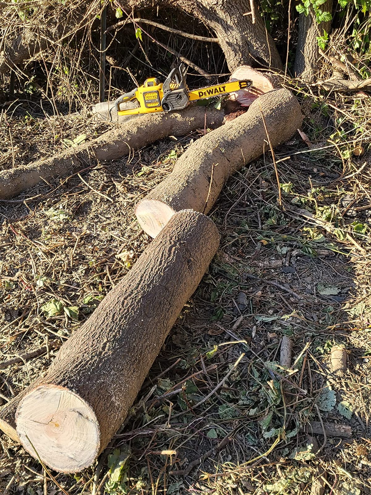 DEWALT FLEXVOLT CHAINSAW 60V 2Ah 16IN customer photo 1