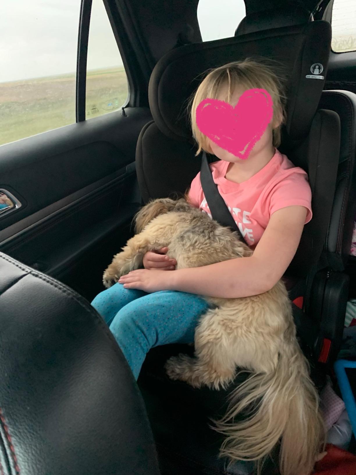 Britax Skyline 2-Stage Belt-Positioning Booster Car Seat, Dusk - Highback and Backless Seat customer photo 1