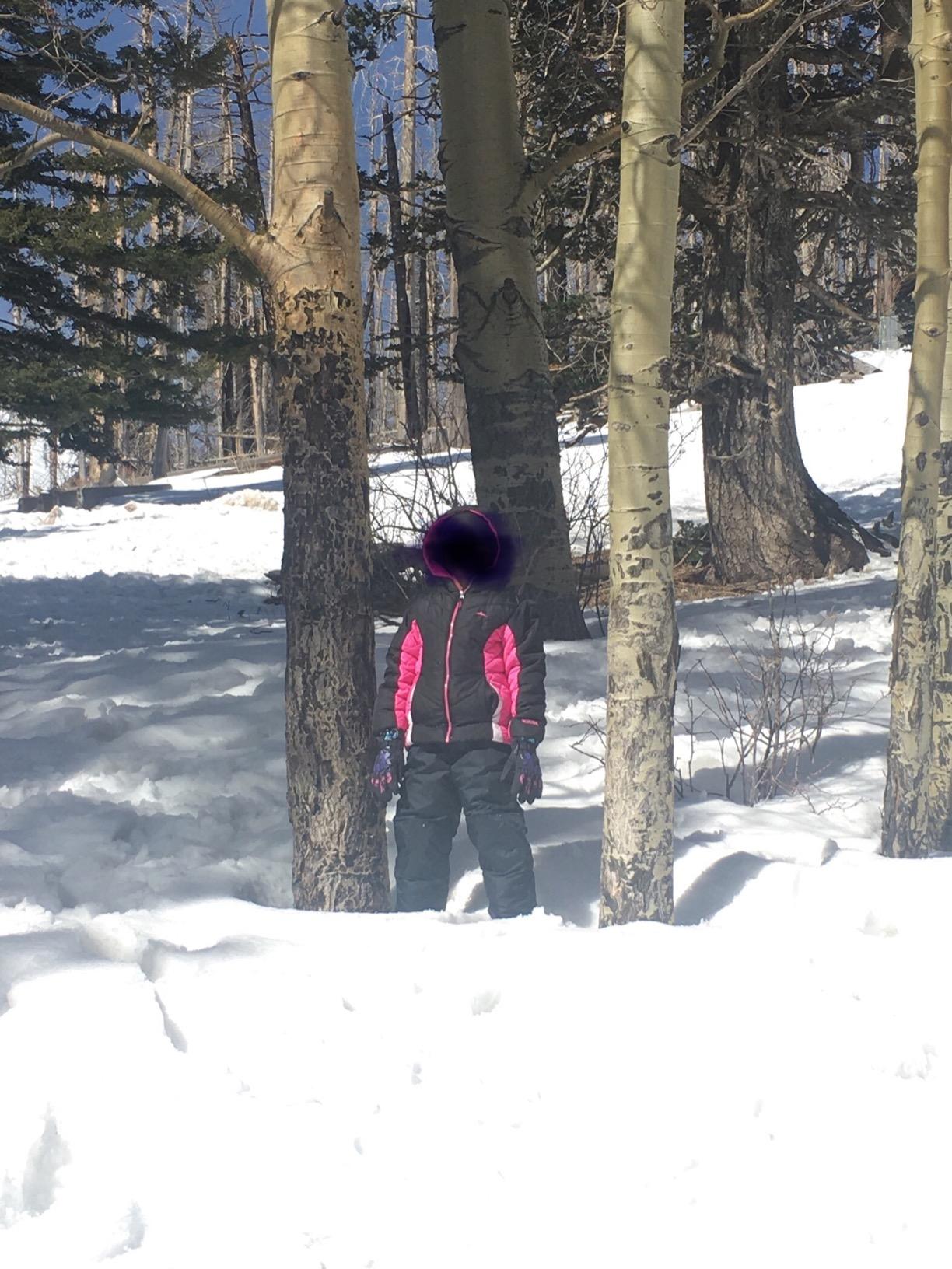 Cherokee Kids Snow Bib - Insulated Winter Bib Overalls for Girls and Boys customer photo 2