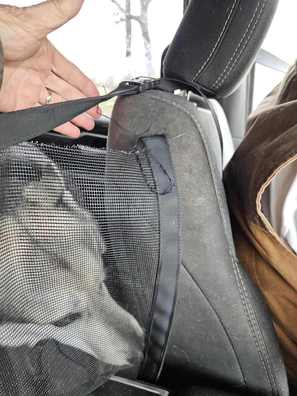 Dog Car Net Barrier - Universal Fit Sturdy Mesh, Easy to Install, Convenient for Air Conditioning, Easy to Clean & with Flexible Bungee Cords for Seat Movement customer photo 1