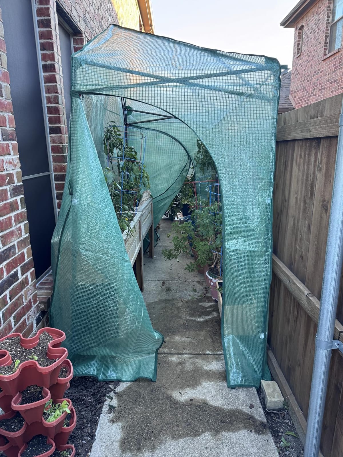 EAGLE PEAK 8x6 Easy Setup Pop Up Greenhouse, Clear/Green customer photo 1