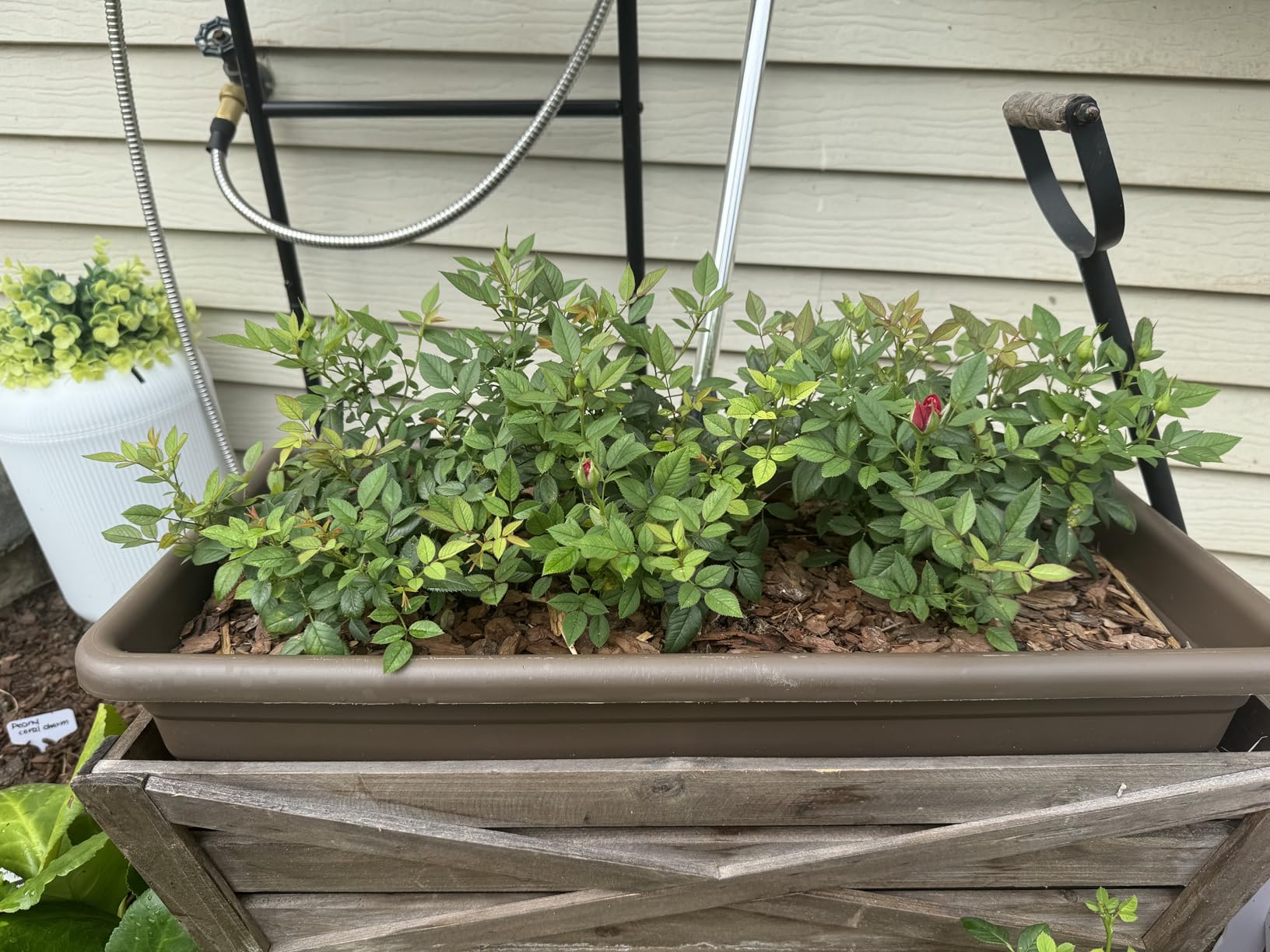 The HC Companies Deck Rail Deck Rail Planter Box, 24 Inch, Black, 1-Pack customer photo 1