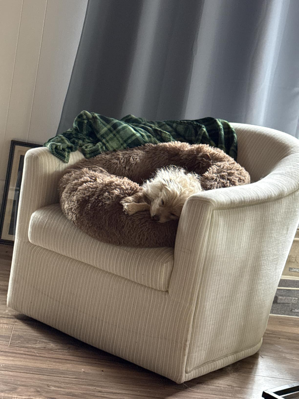 MIXJOY Orthopedic Dog Bed Comfortable Donut Cuddler Round Pet Beds Ultra Soft Washable Dog and Cat Cushion Bed (20''/23''/30'') (30'', Brown) customer photo 2