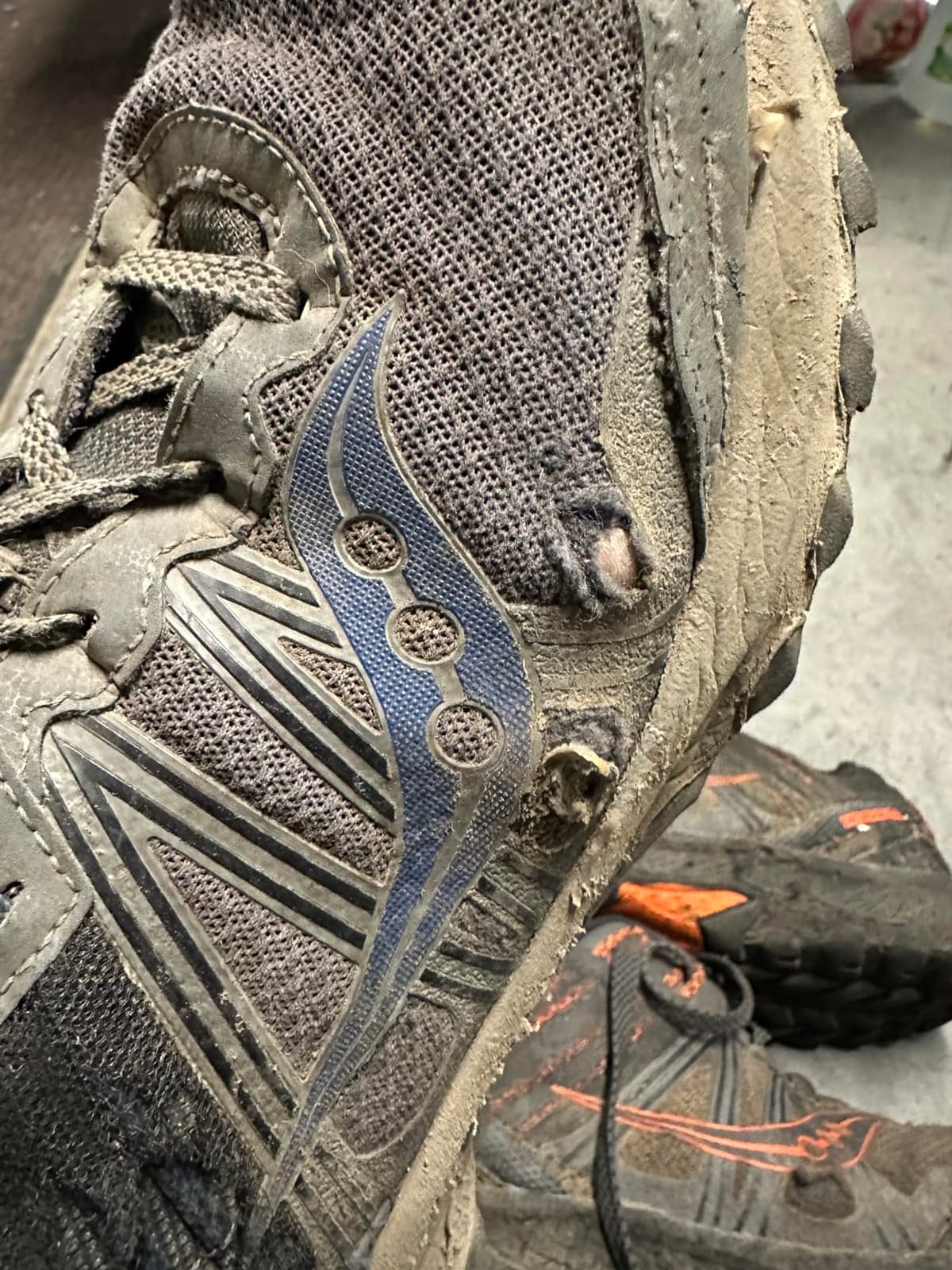 Saucony Excursion TR14 Women's customer photo 1