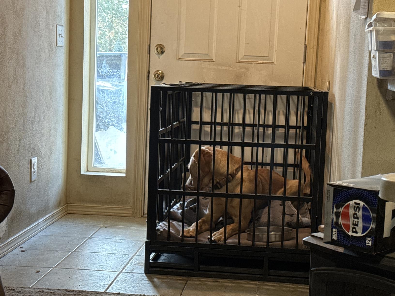 LEMBERI 48