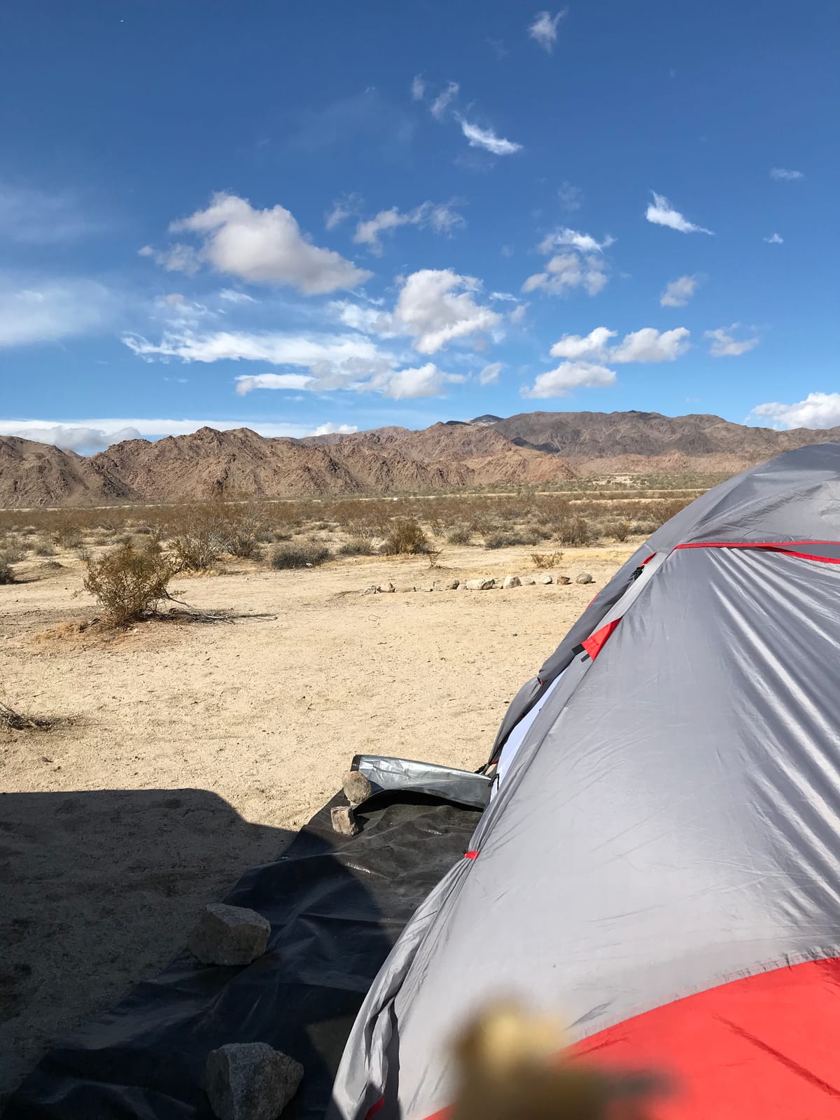 ALPS Mountaineering Taurus 4-Person Tent - Gray/Red customer photo 1