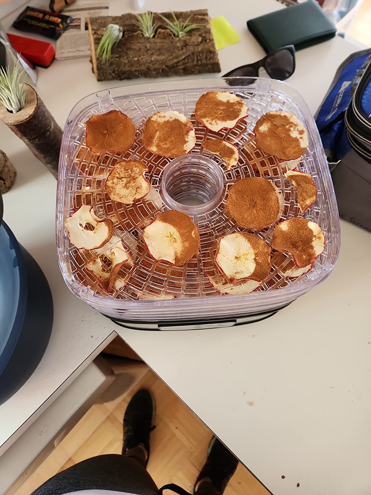 OSTBA Food Dehydrator, 5 Trays, 240W Dryer for Jerky, Fruit & Snacks customer photo 2