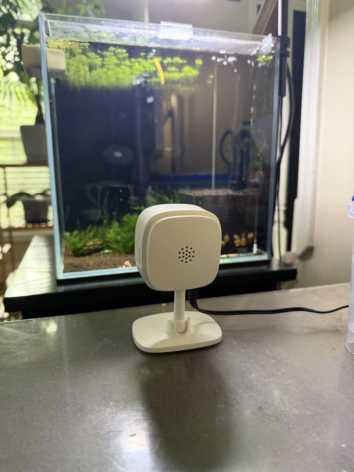 Tapo C100 customer photo 2