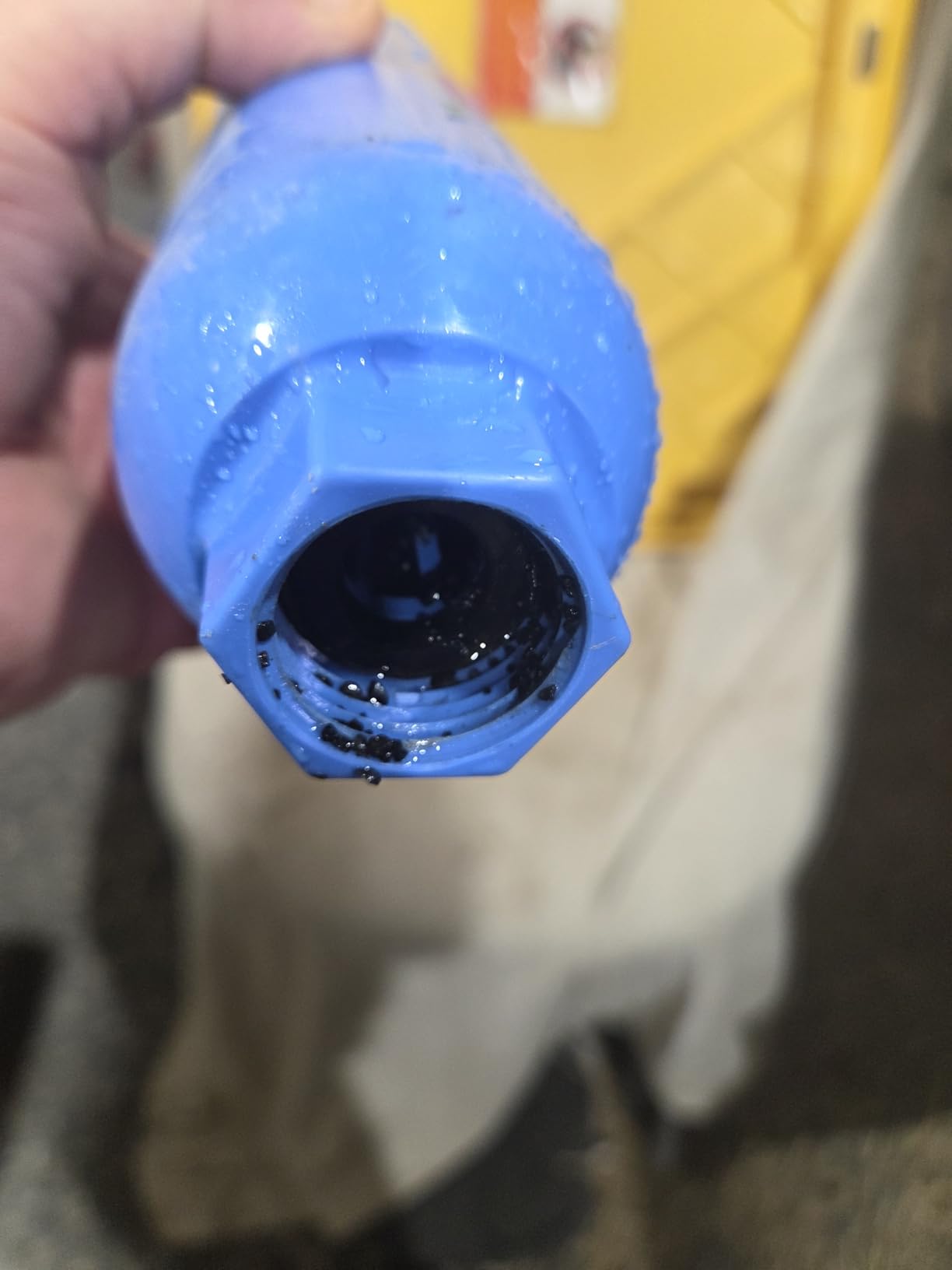 BELVITA RV inline water filter with Flexible Hose Protector customer photo 2