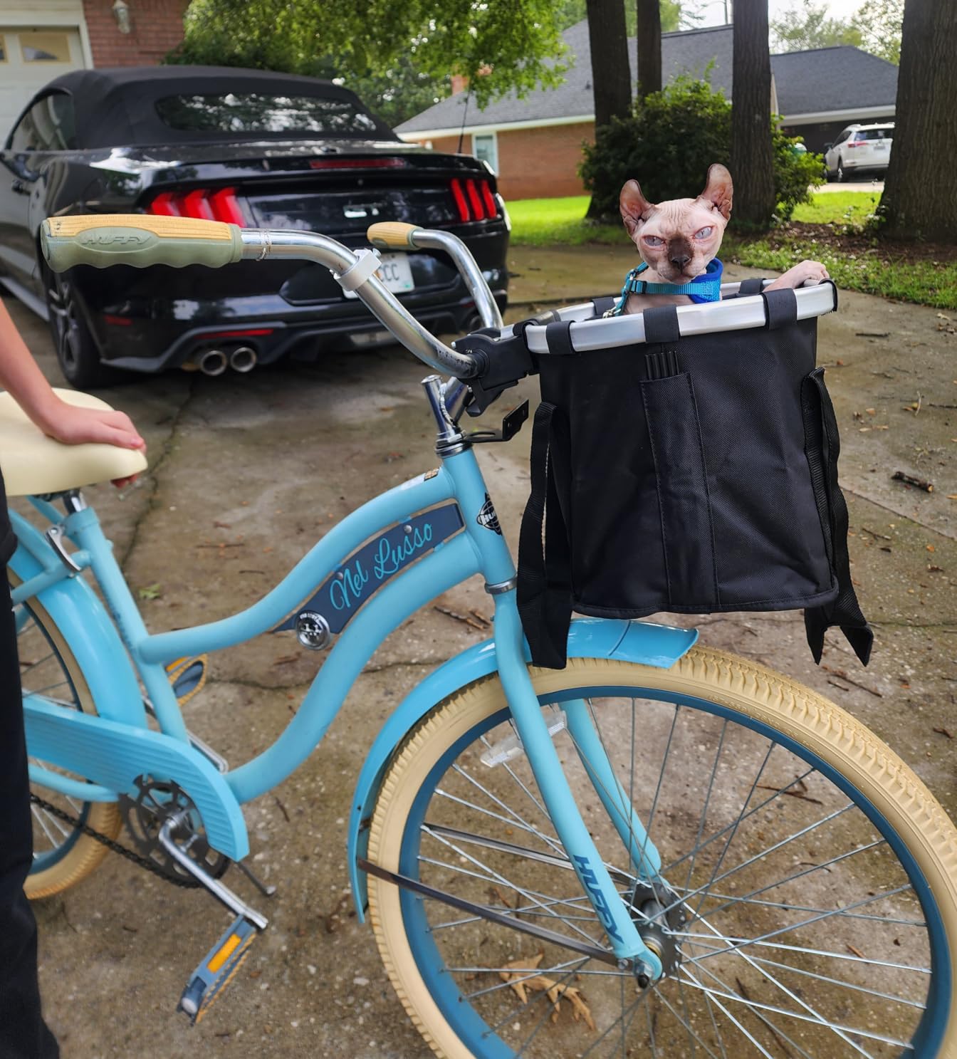 RAYMACE Bicycle Basket Dog Bike Handlebar Basket Front,Folding Detachable Quick Release Easy Install,Cycling Picnic Bag customer photo 1