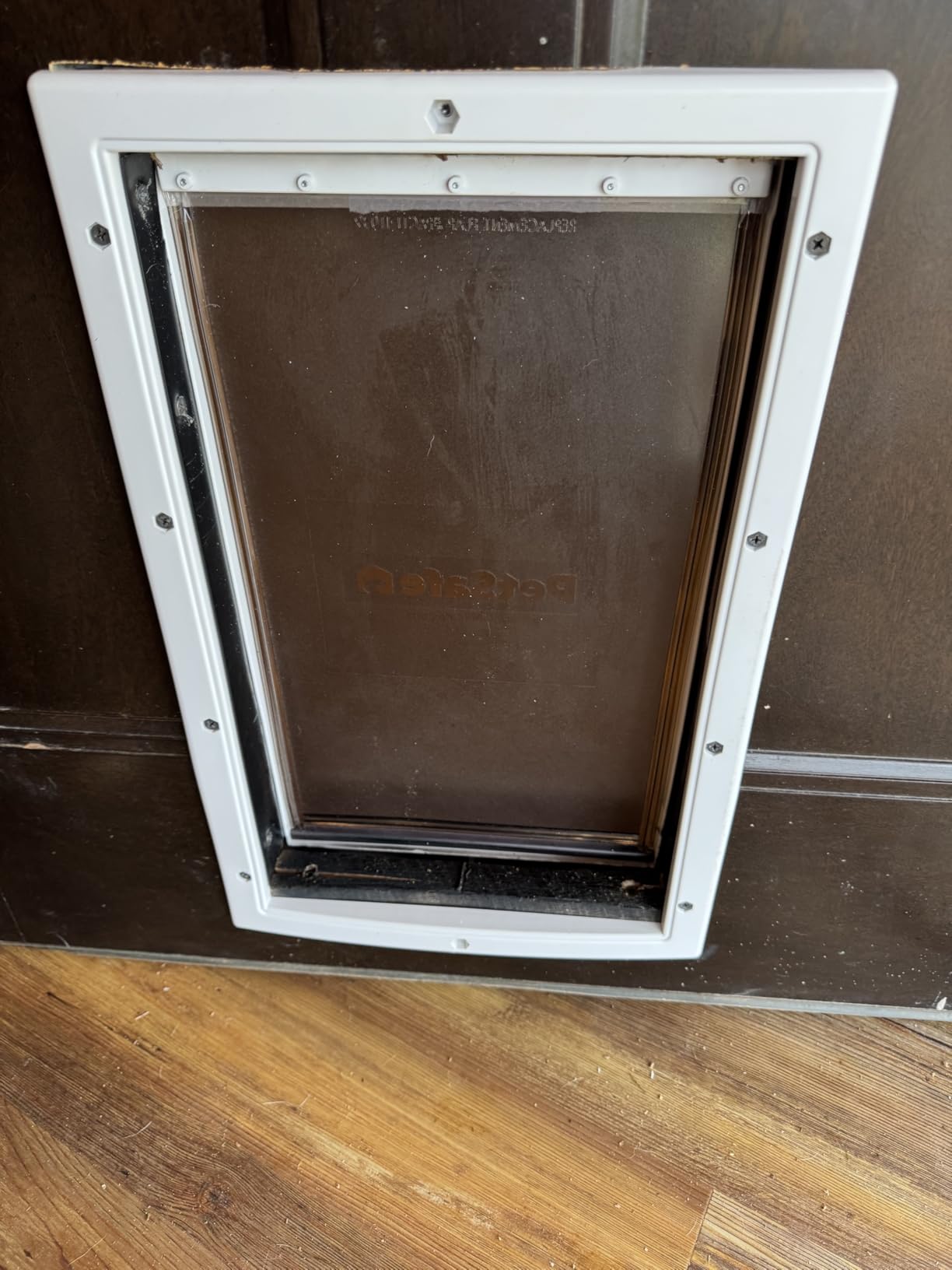 PetSafe Plastic Dog & Cat Door, Paintable Frame, Pets up to 100 lbs, Large customer photo 2