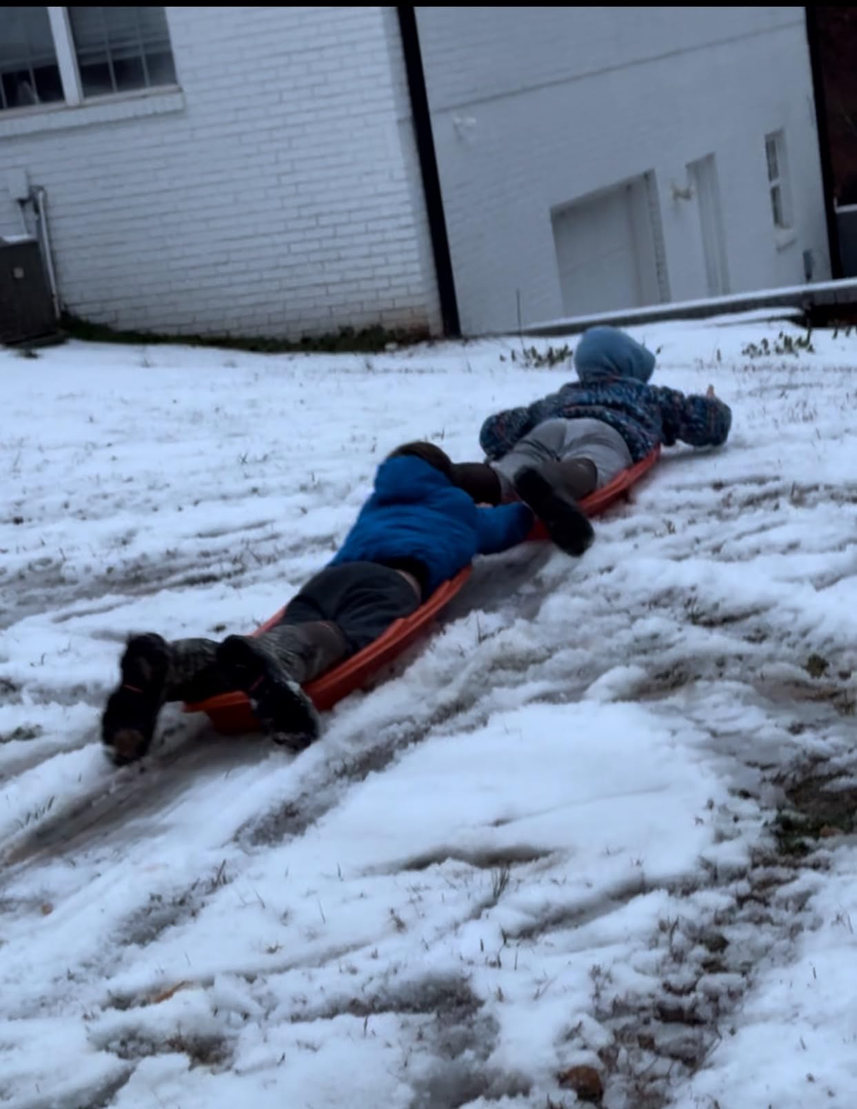 Flexible Flyer Winter Lightning Snow Sleds for Kids and Adults (3-Pack) - 48 Inch Toboggan Style Plastic Sled with Hard Bottom for Fast, Smooth Rides - 1 or 2 Riders (Blue, Green, Orange) customer photo 2
