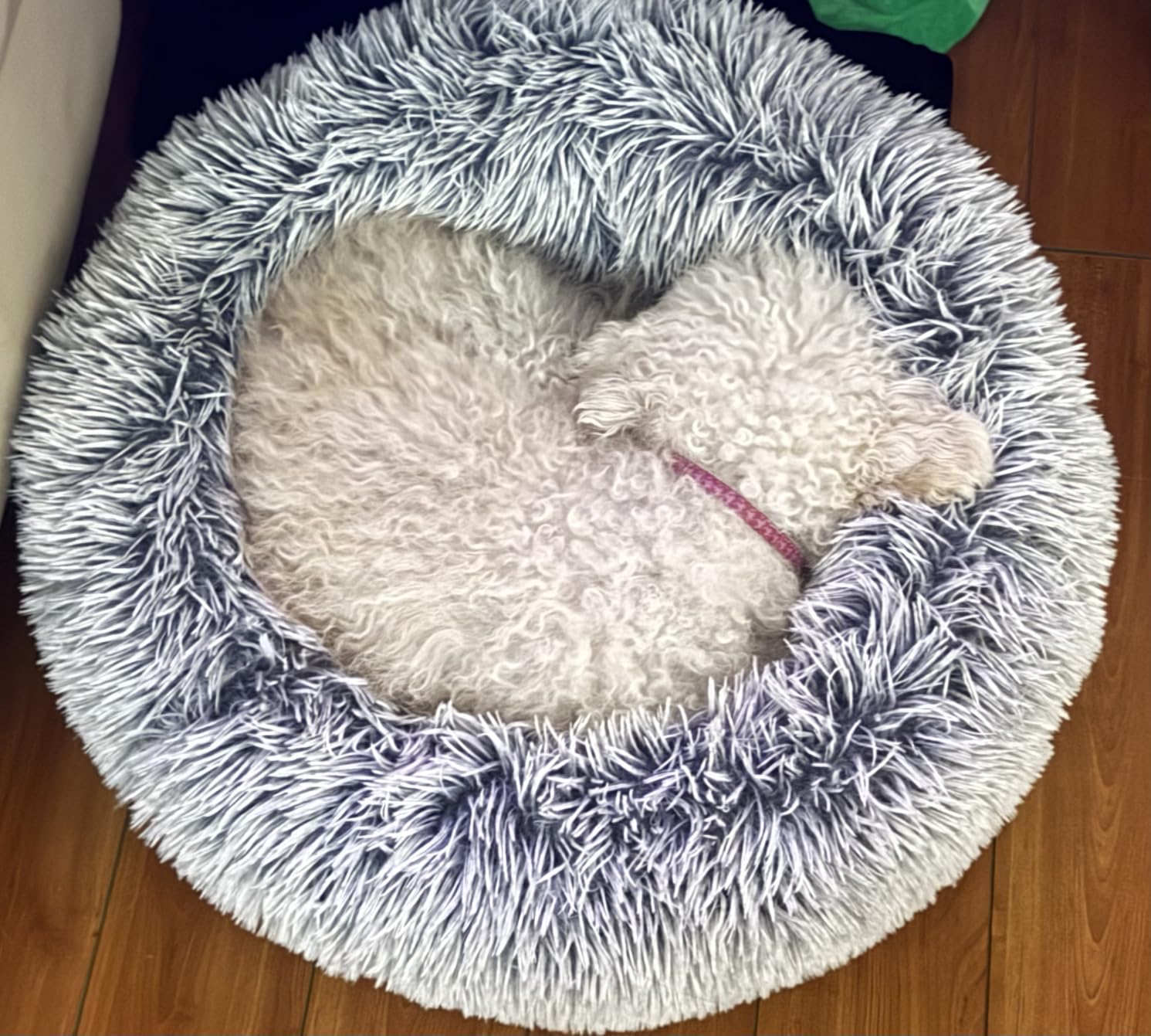 WESTERN HOME WH Calming Dog Bed & Cat Bed Washable Puppy Bed,24