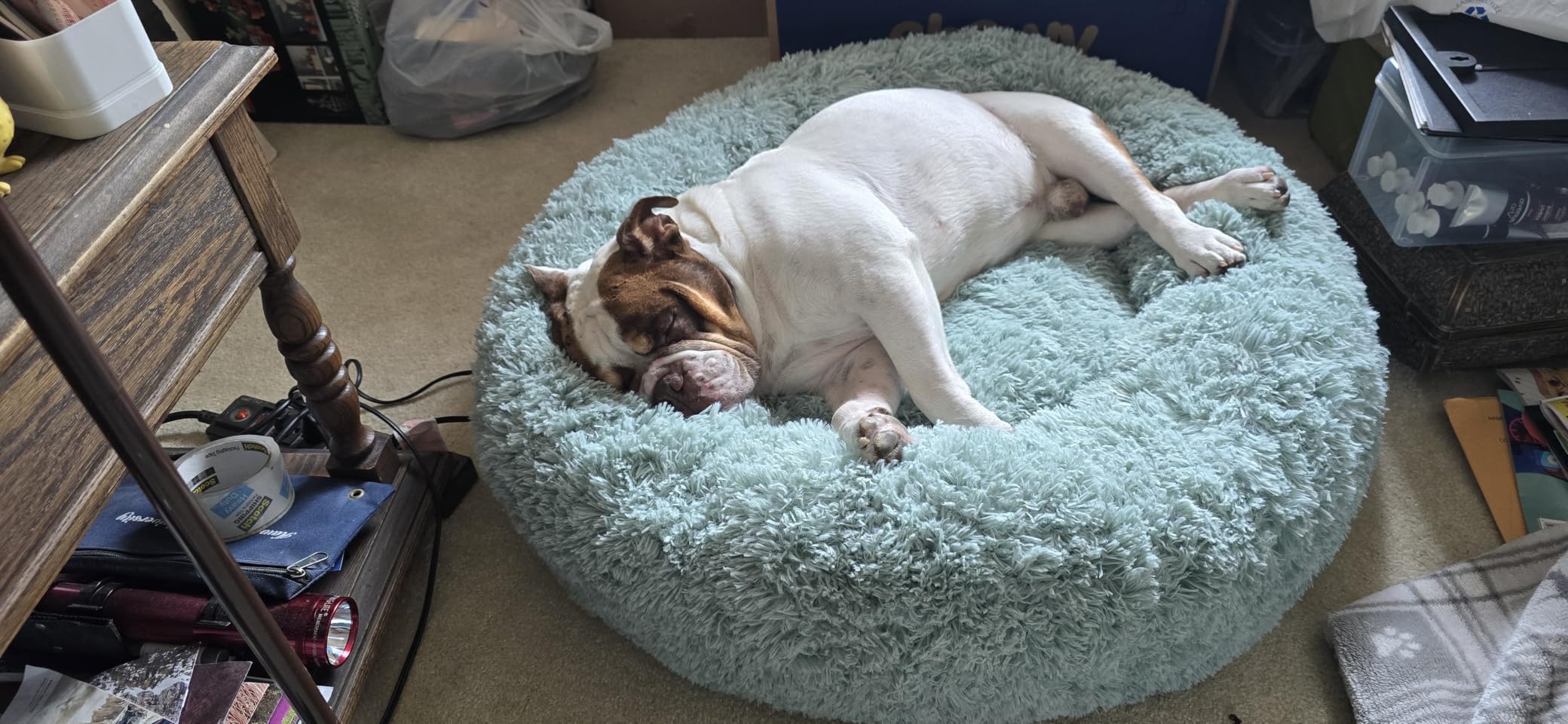 Bedsure Calming Dog Bed Medium Size Dog Donut Washable Pet Bed,30ins customer photo 2