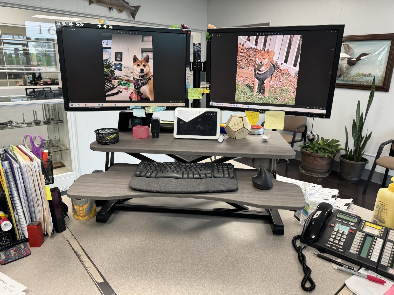 VIVO Black 32 in Standing Desk Converter with Monitor Stand, DESK-V000K-M2 customer photo 1