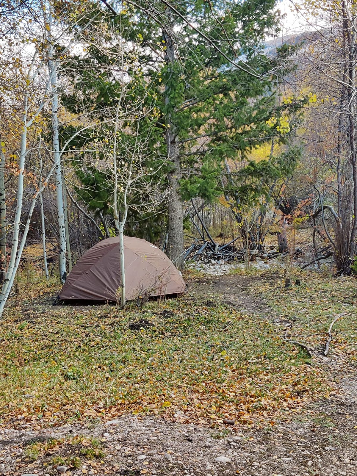 OneTigris COSMITTO 2 Person Backpacking Tent Shelter- Free Standing Lightweight Waterproof 3 Season Camping Tent for Outdoor Hiking Mountaineering customer photo 1