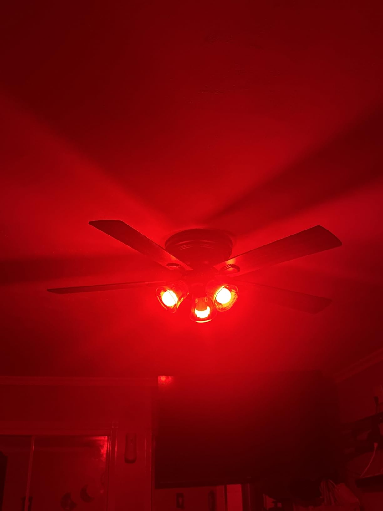 Kasa Multicolor Dimmable Wi-Fi Smart Bulb, A19, KL125P4 customer photo 1