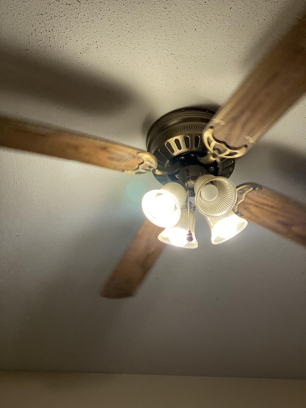 Kasa Multicolor Dimmable Wi-Fi Smart Bulb, A19, KL125P4 customer photo 2