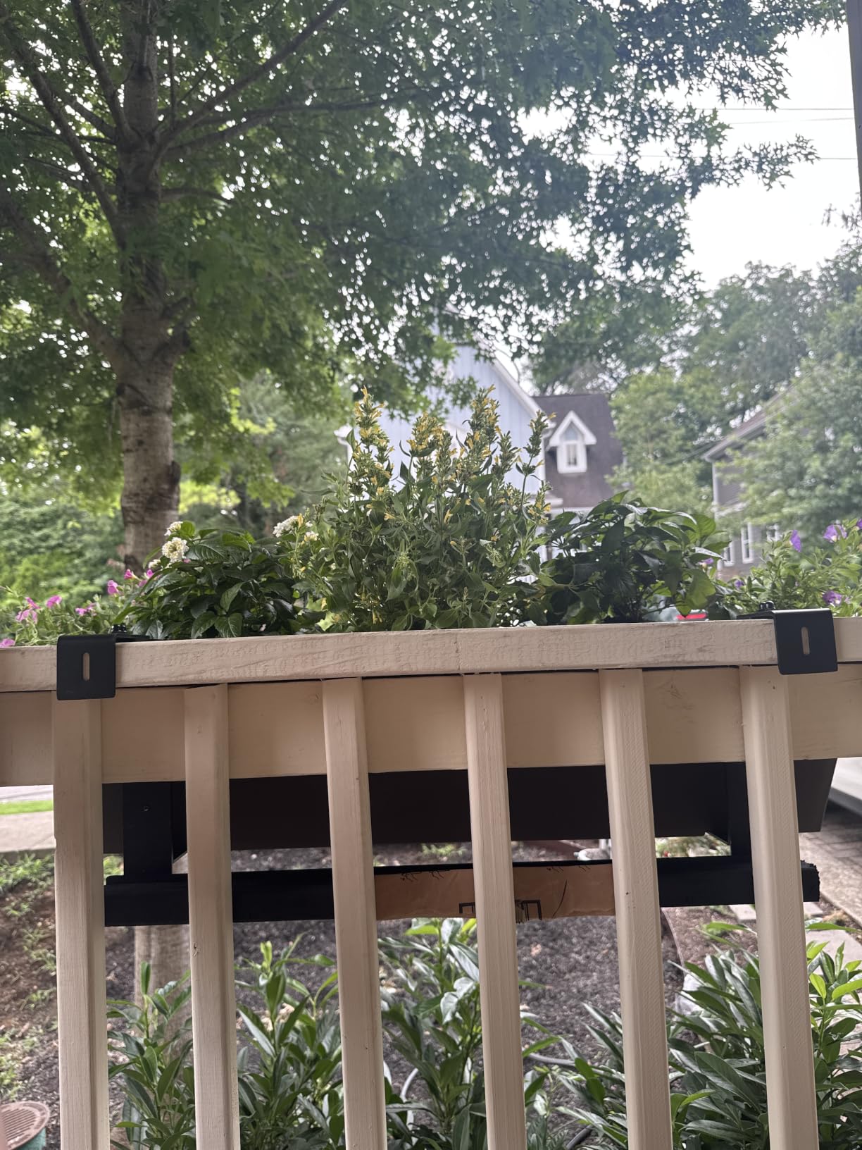 Veradek Pure Series Railing Planter - Tapered Window Box with Bracket customer photo 1
