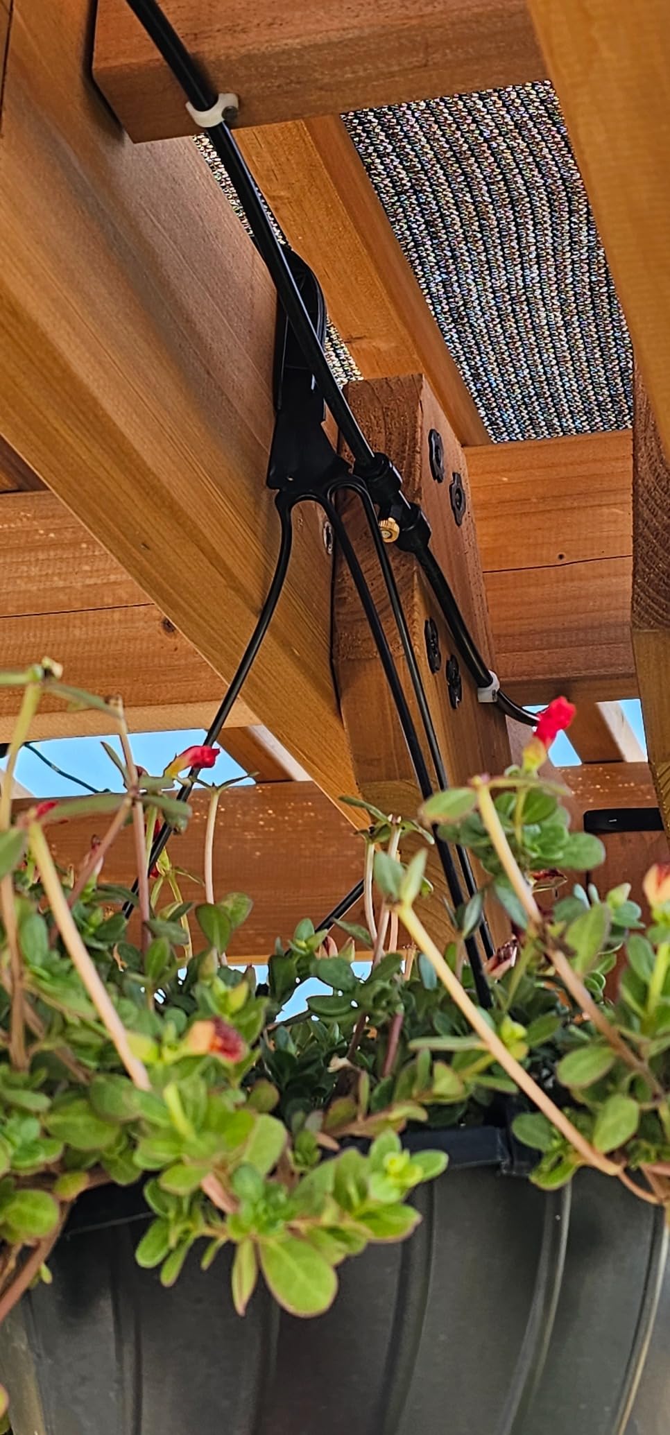 Bonviee 75FT Misters for Outside Patio, 23 Brass Nozzles, 3/4 Inch Adapter customer photo 2