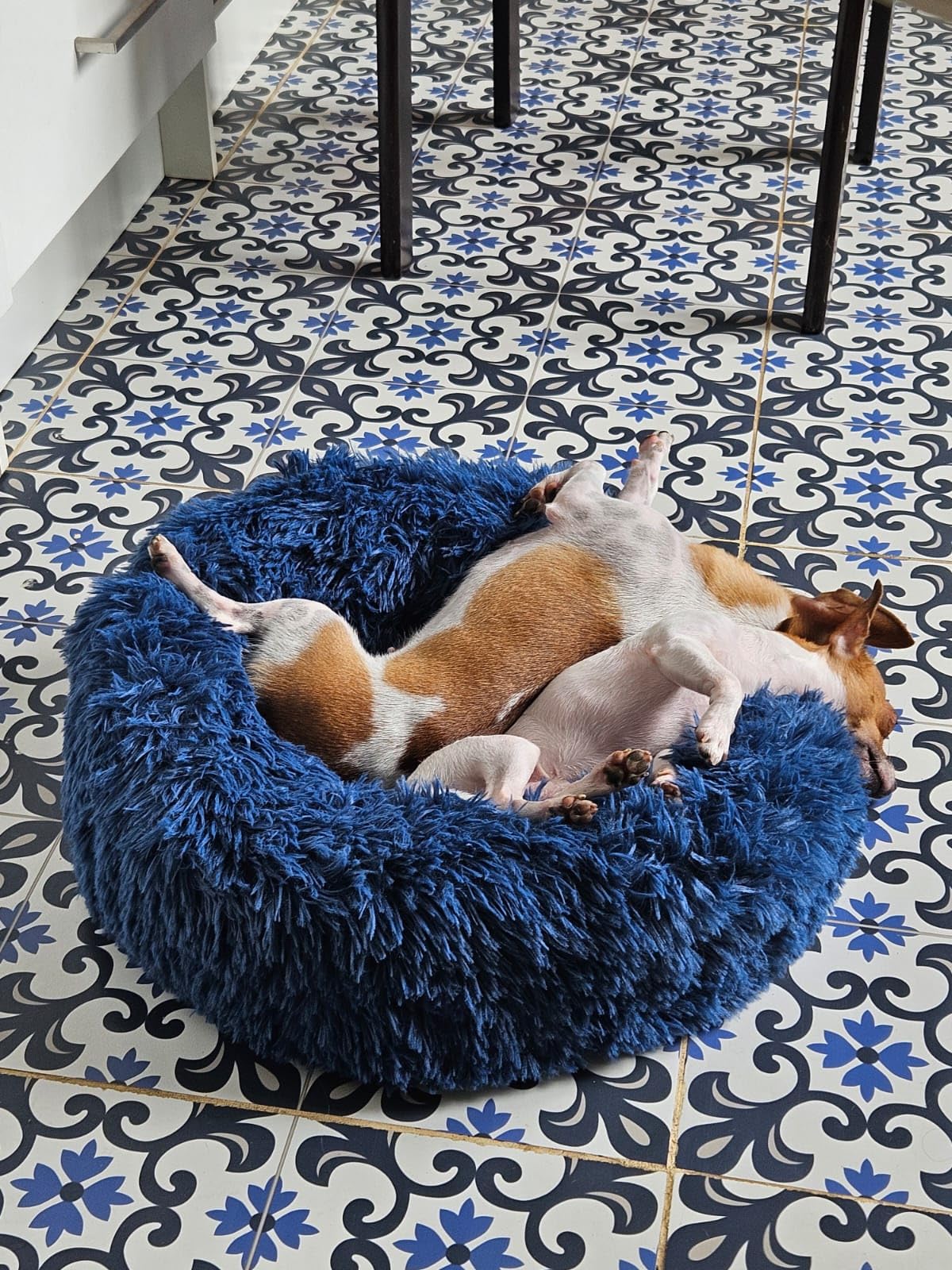 nononfish Calming Dog Bed for Small Dogs,Plush Donut Pet Bed customer photo 2