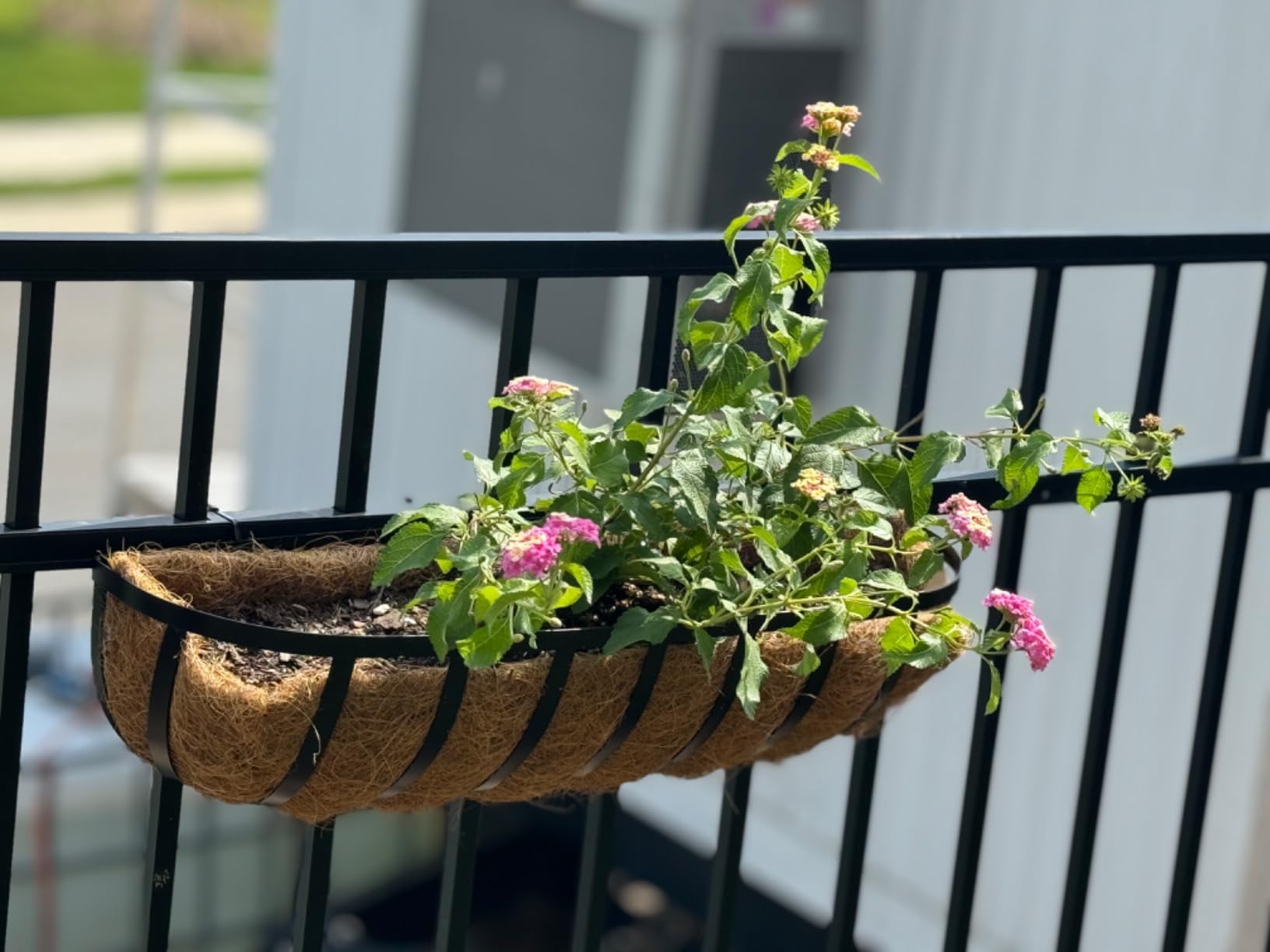 Sekcen Railing Planter Window Box Deck Balcony Rail Planter 24 Inch for Porch Fence Patio Outdoor 4 Pack customer photo 2
