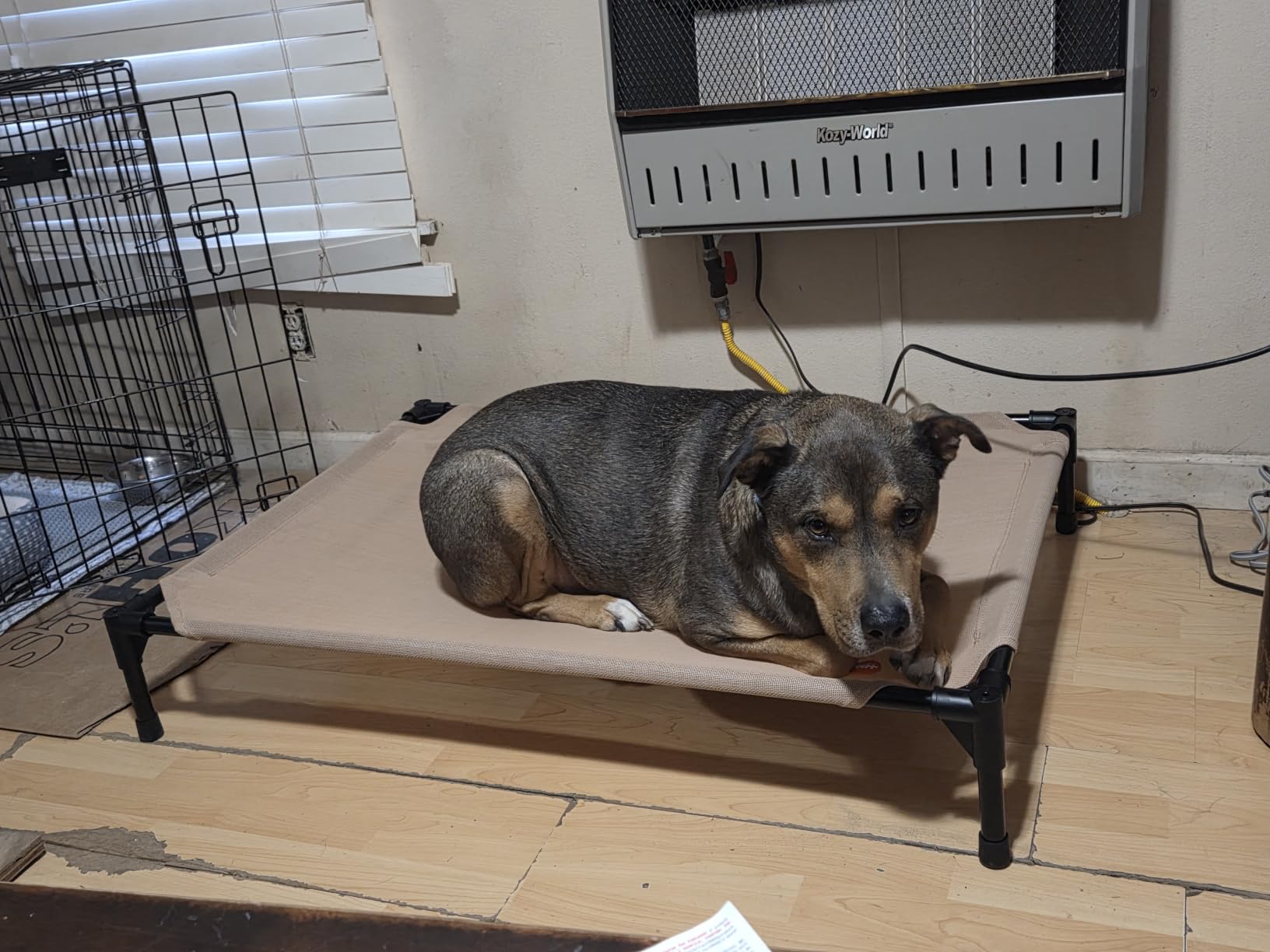 K&H Outdoor Elevated Dog Bed, Cooling Raised Dog Bed, Medium 32x25in, Tan customer photo 2