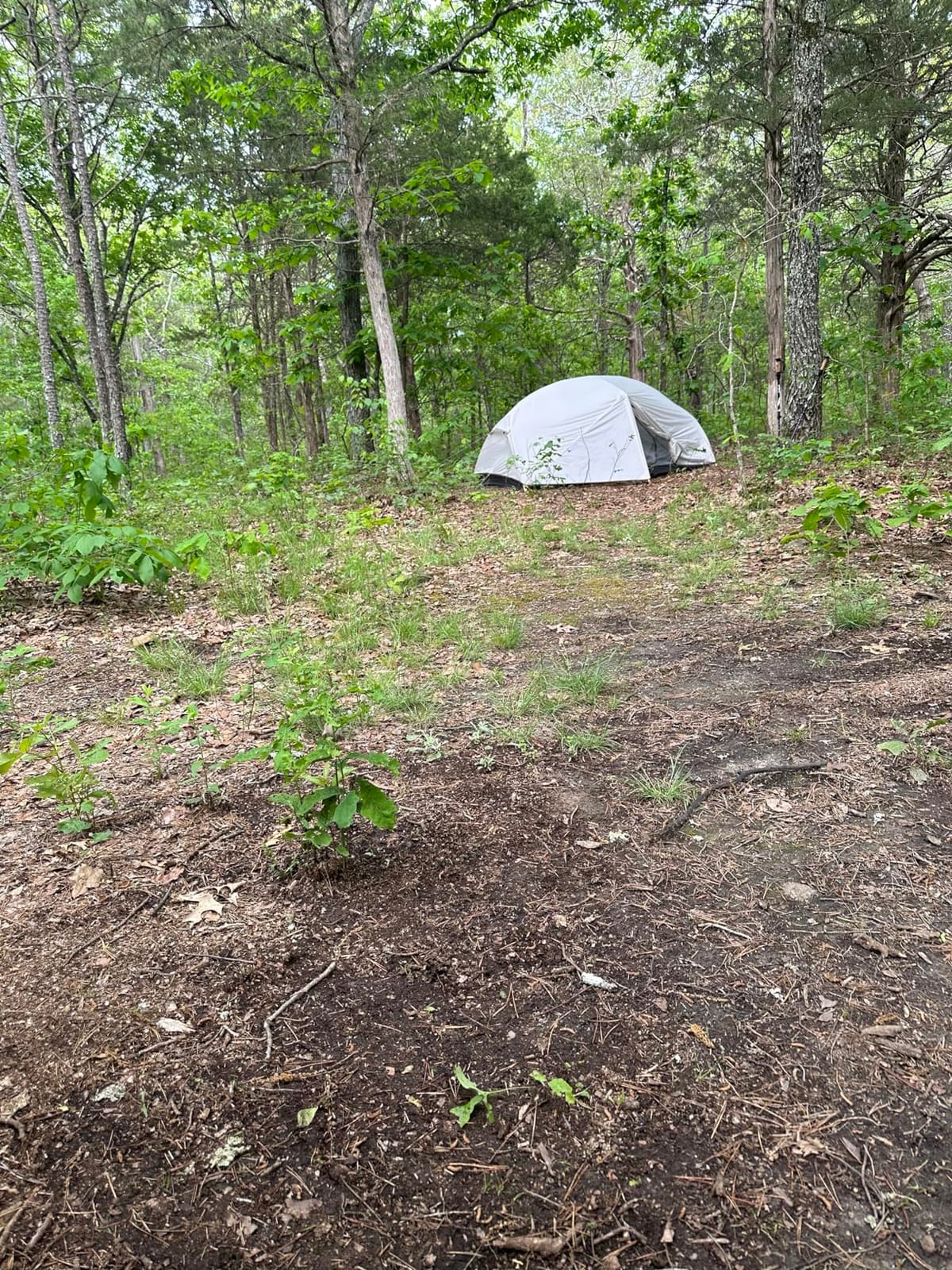 Naturehike Mongar 2 Person Backpacking Tent, 3 Season Ultralight Lightweight 2 Person Tent, Double Layer Free Standing Tents for Camping Hiking Cycling customer photo 1