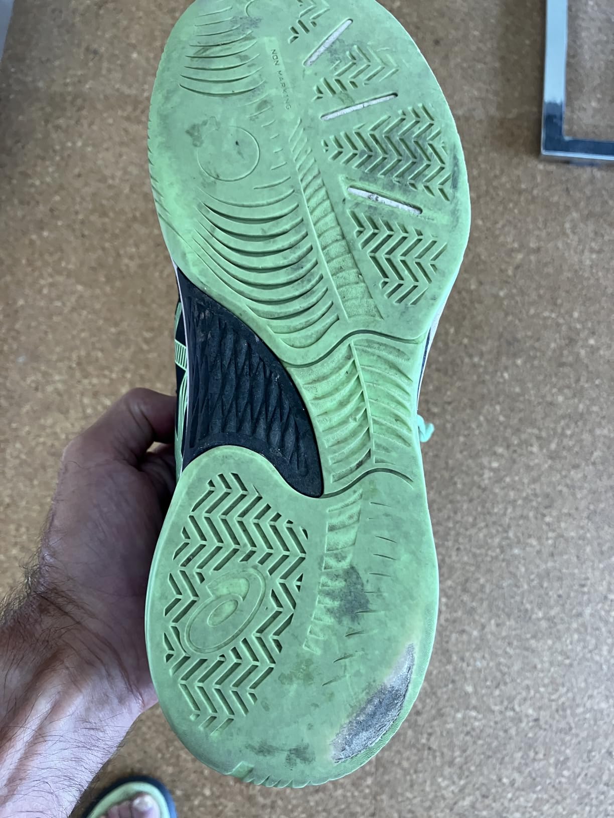 ASICS Men's Gel-RENMA Pickleball Shoes customer photo 1